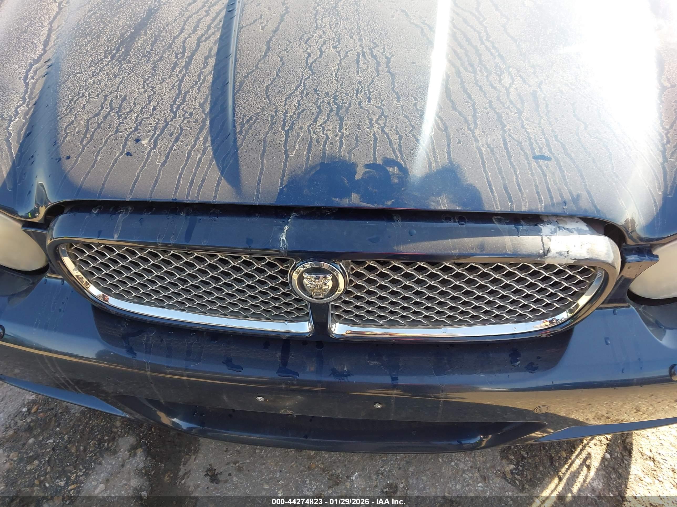 JAGUAR XJ image 6