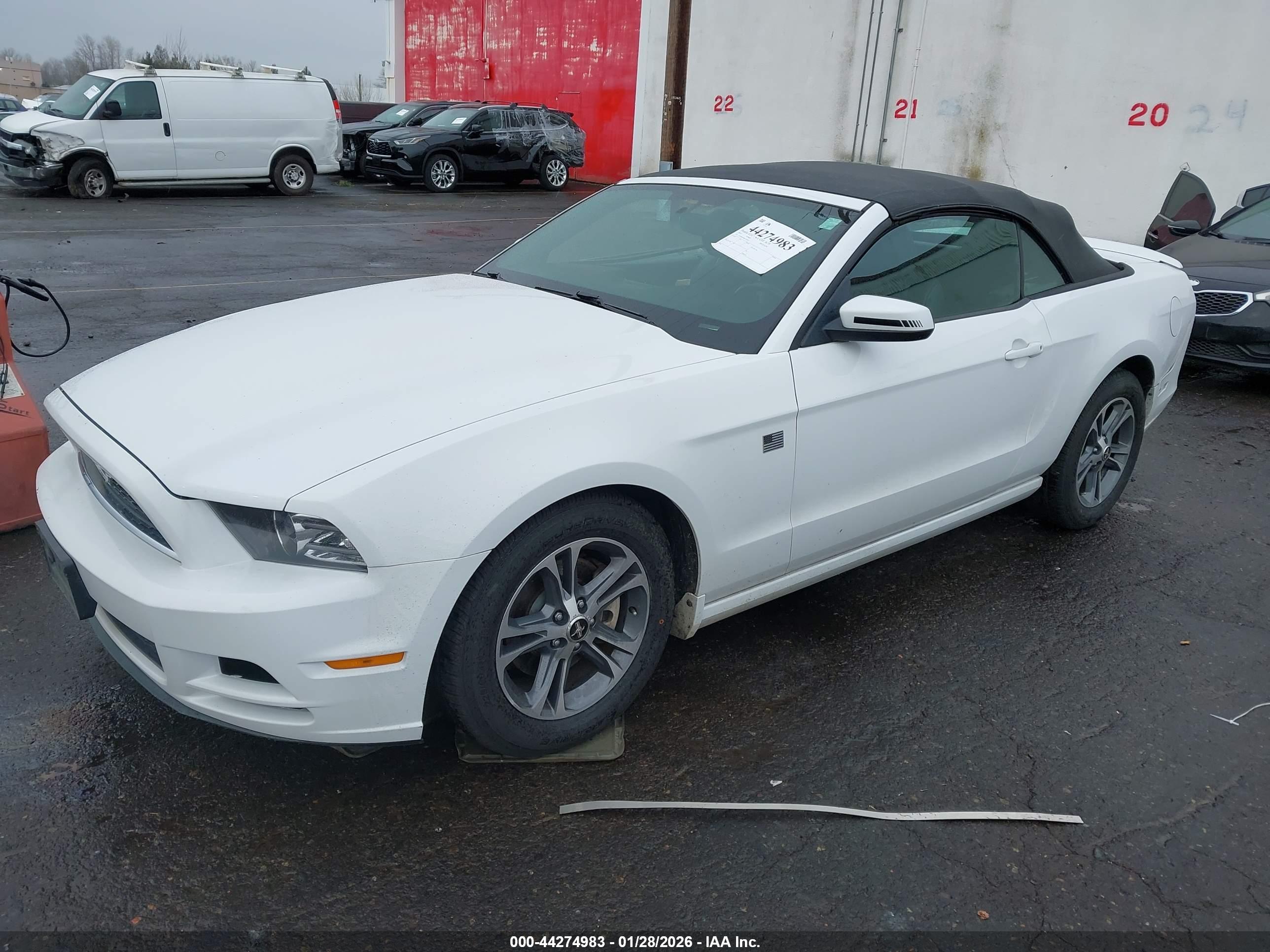 FORD MUSTANG image 2