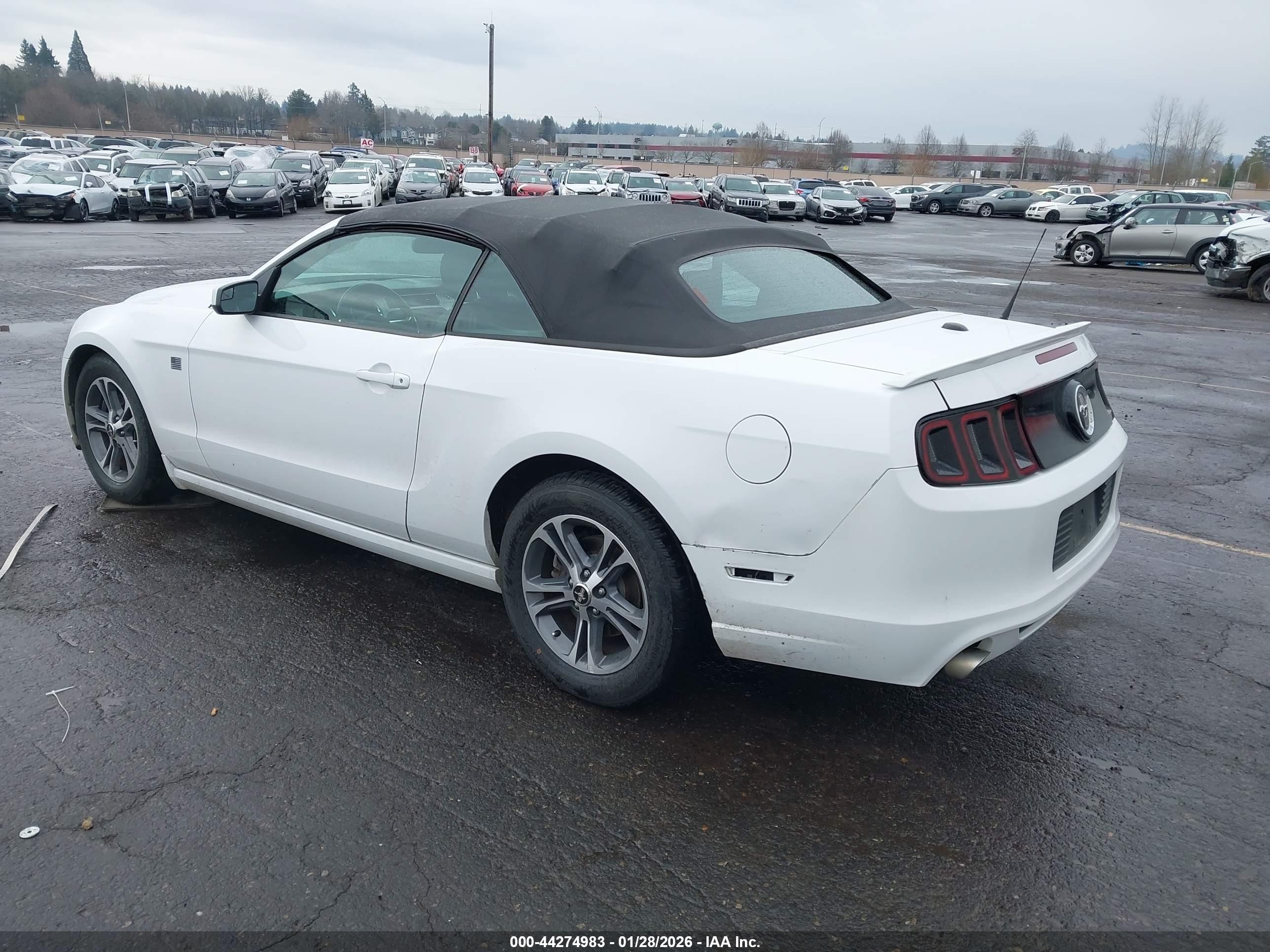 FORD MUSTANG image 3