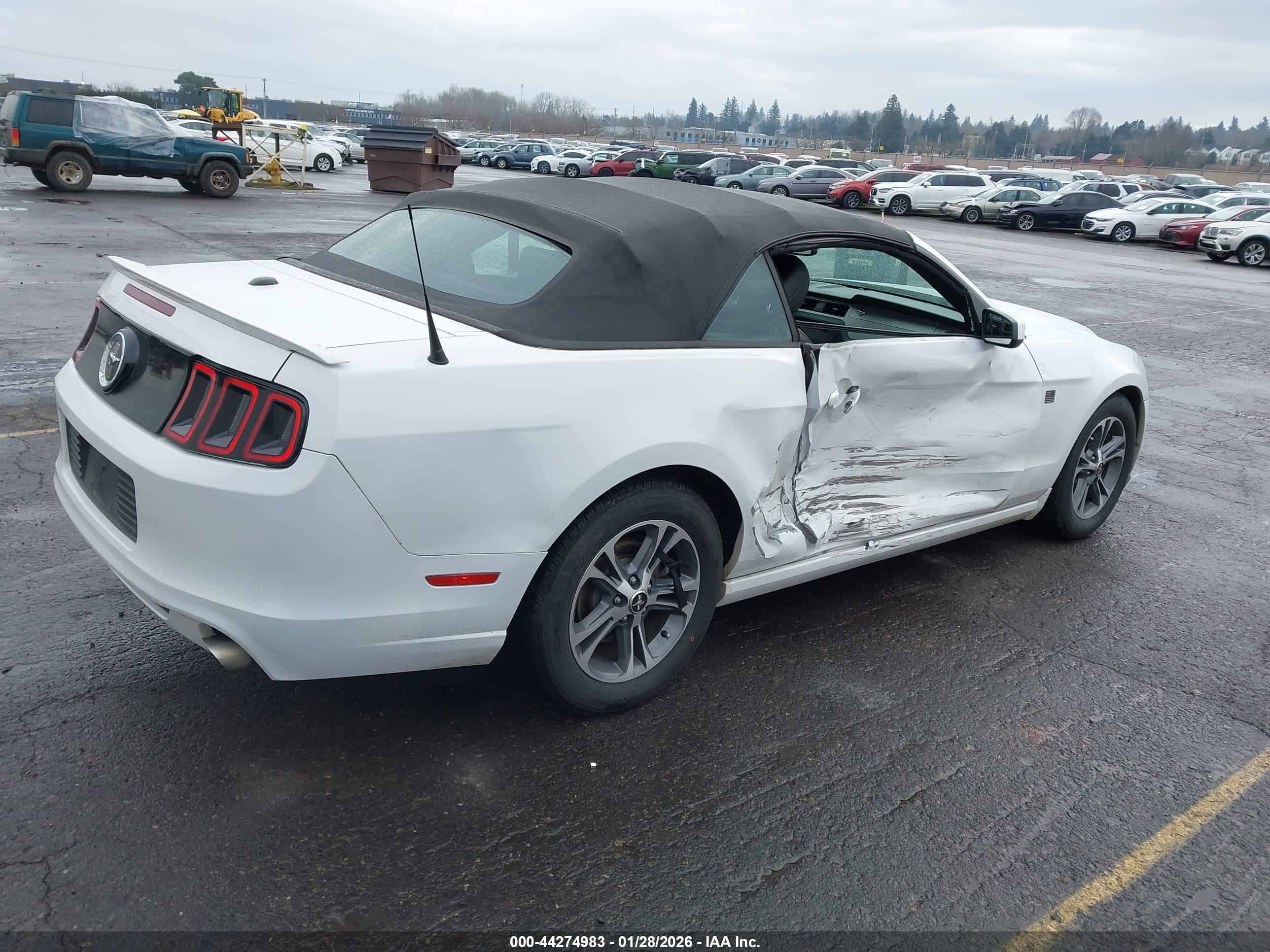 FORD MUSTANG image 4