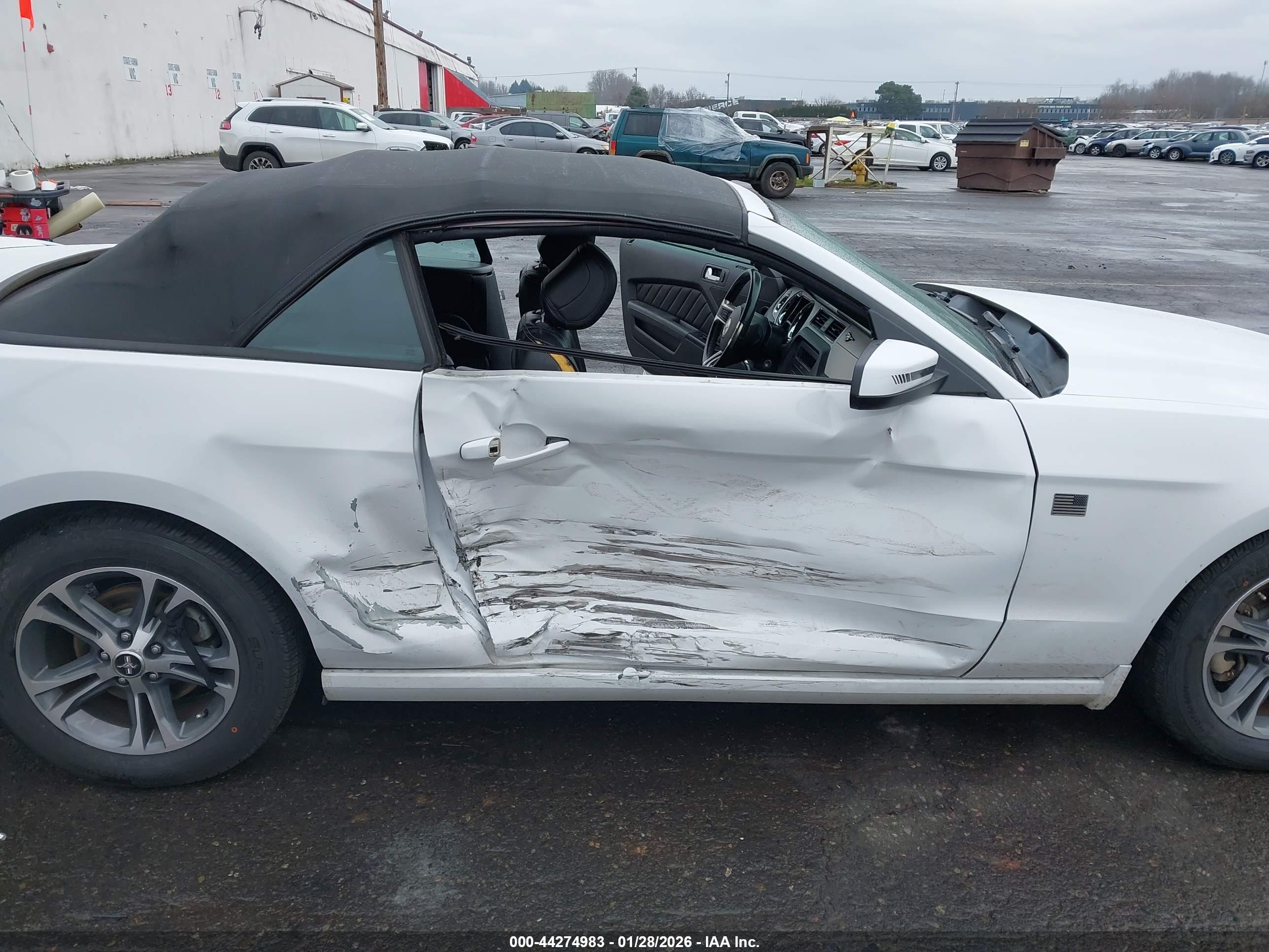FORD MUSTANG image 6