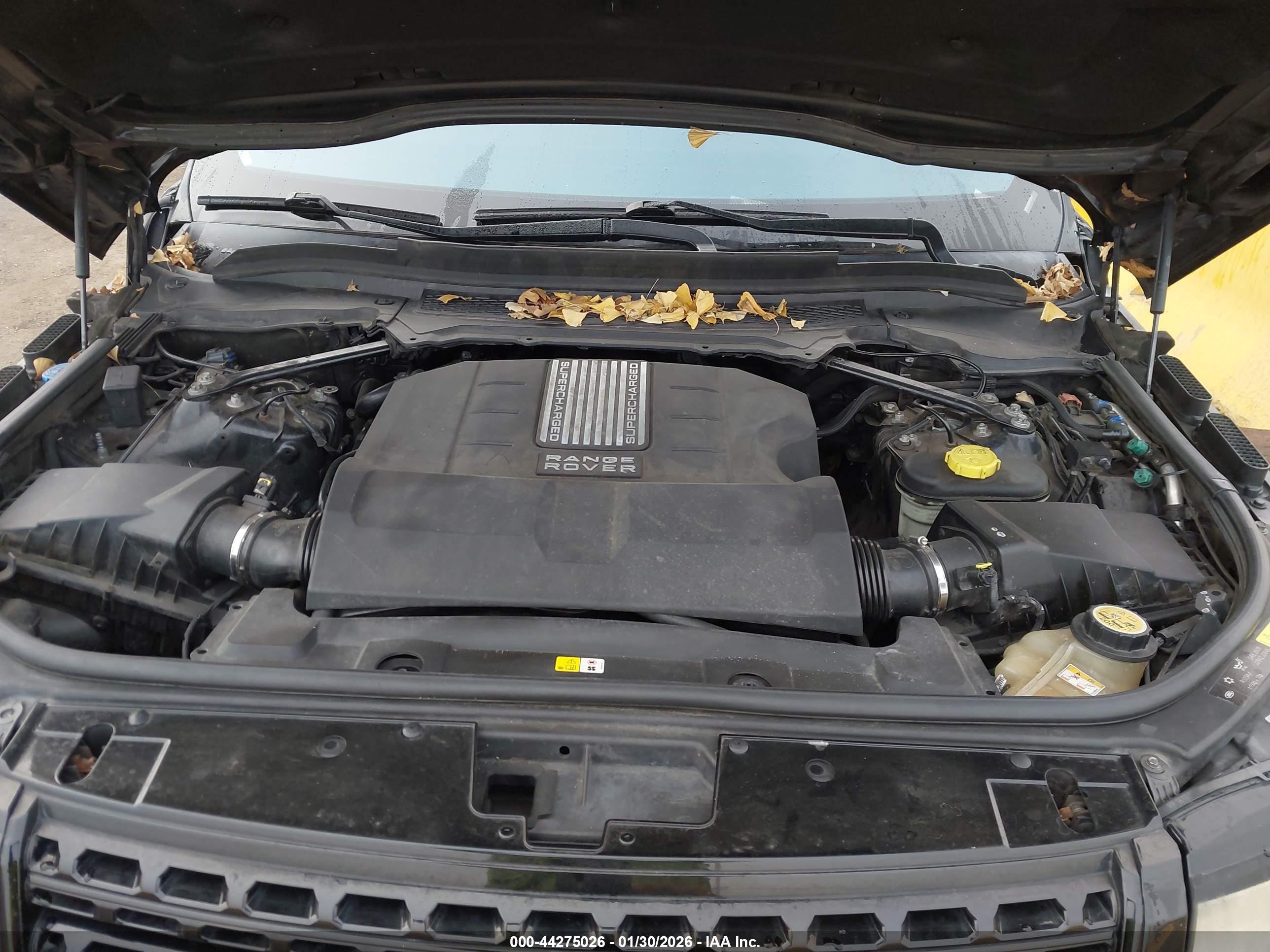 LAND ROVER image 10