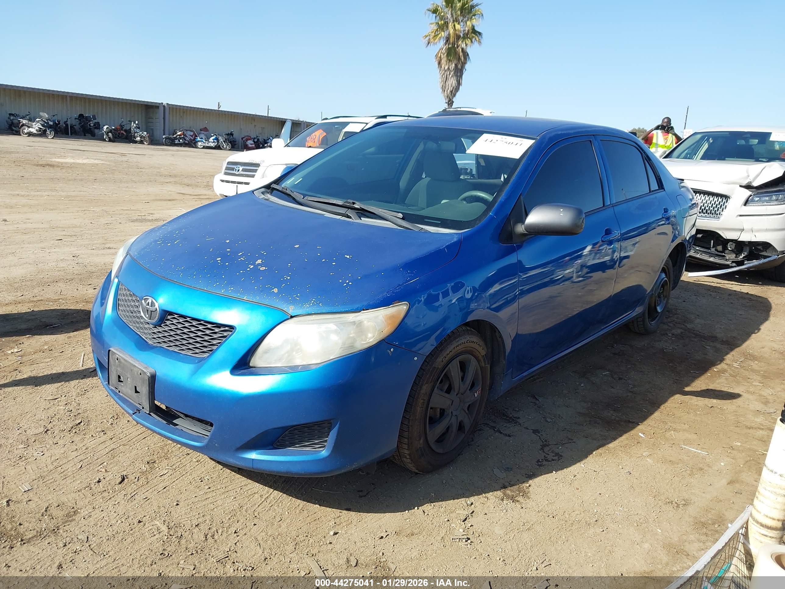TOYOTA COROLLA image 2