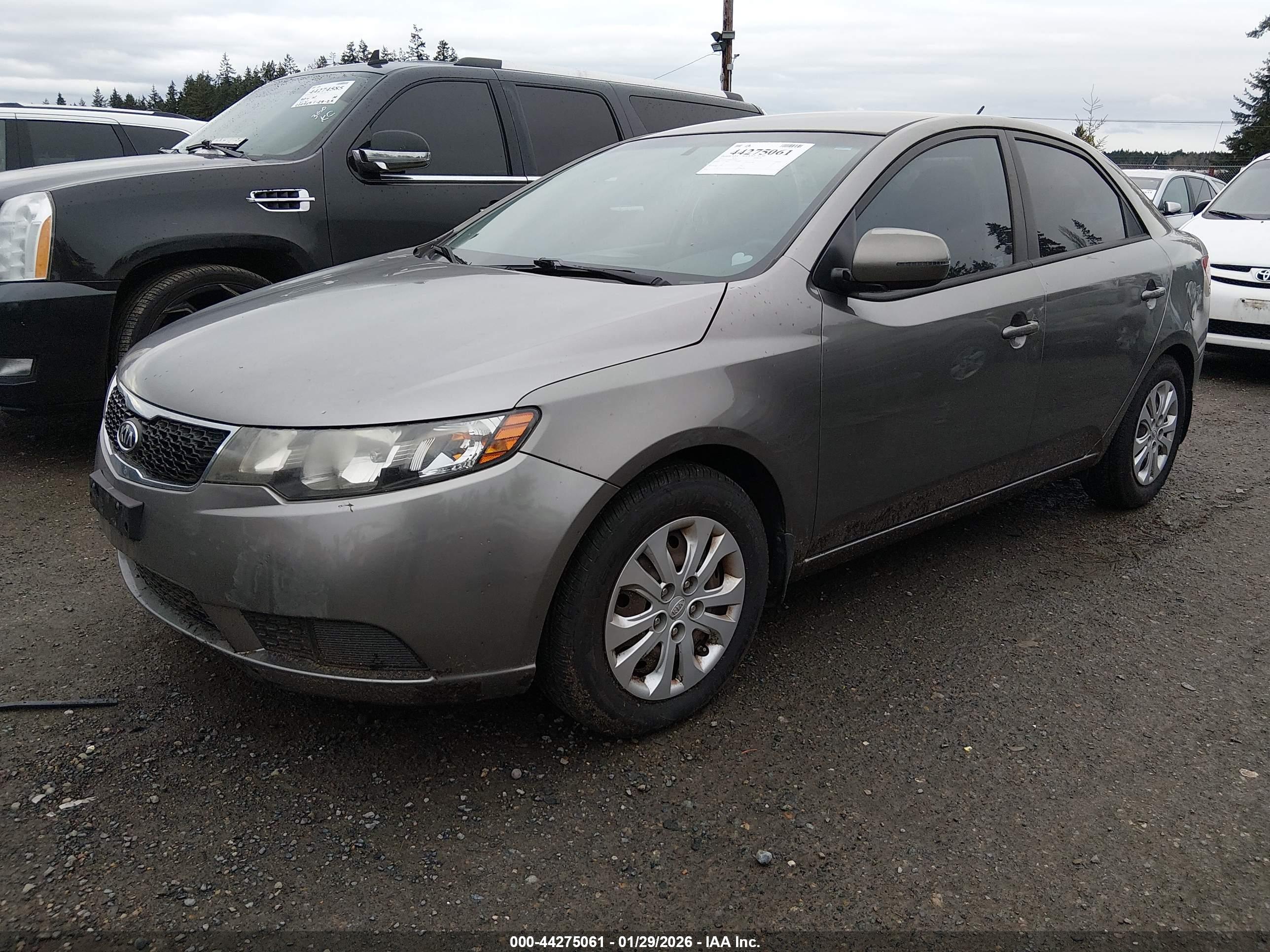 KIA FORTE image 2