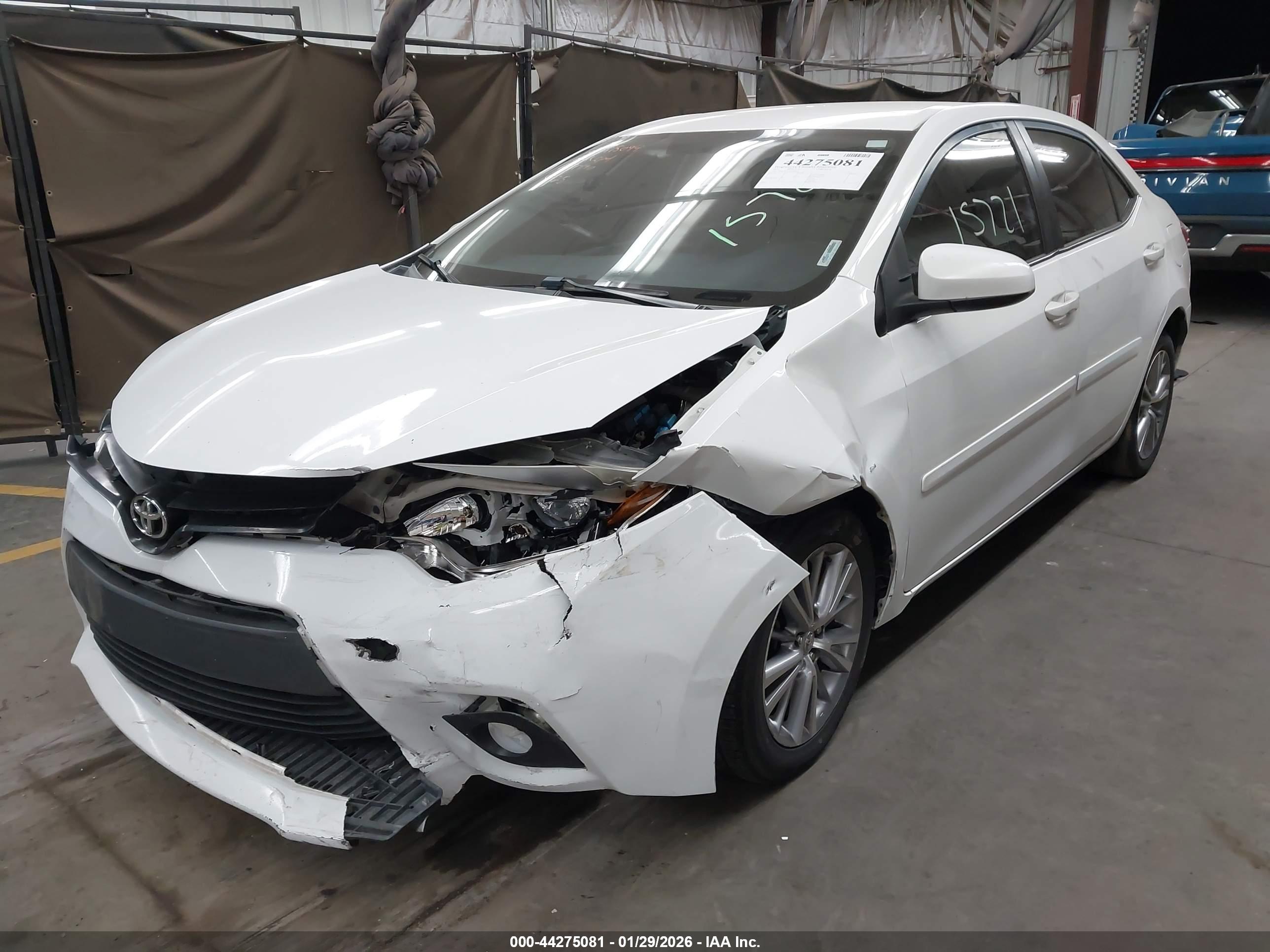 TOYOTA COROLLA image 2