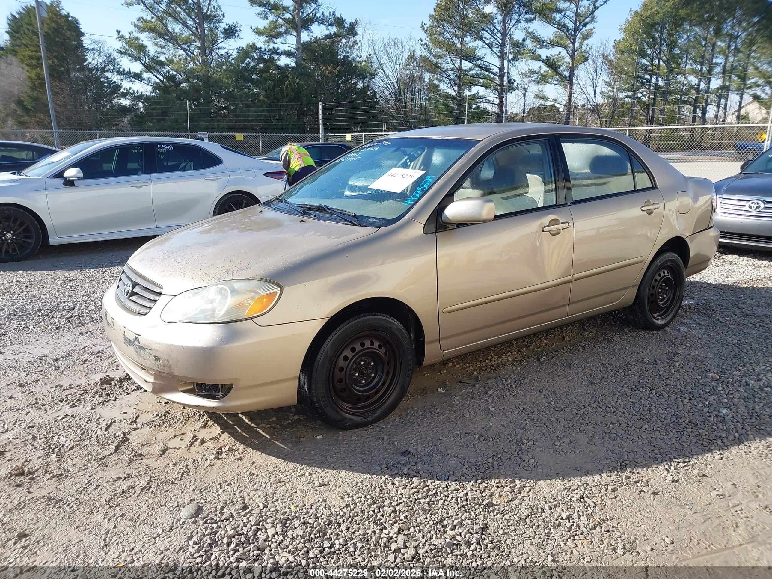 TOYOTA COROLLA image 2