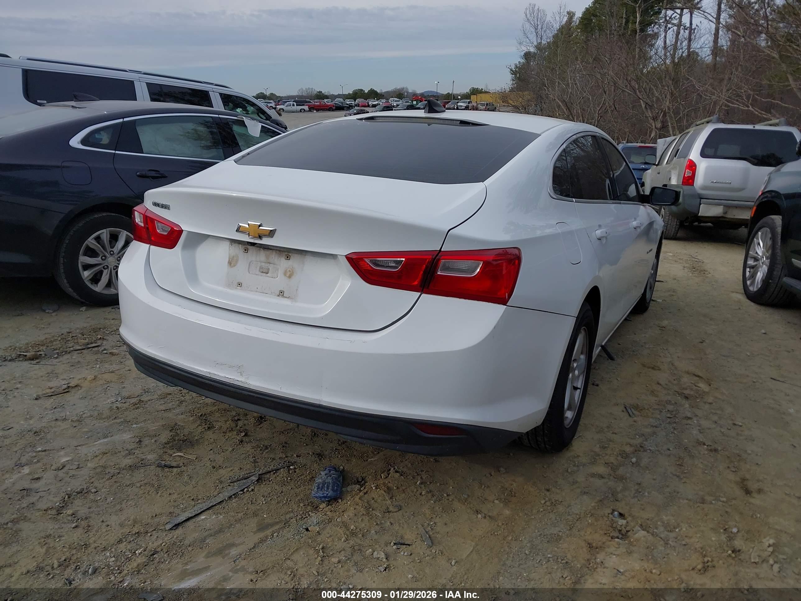 CHEVROLET MALIBU image 4
