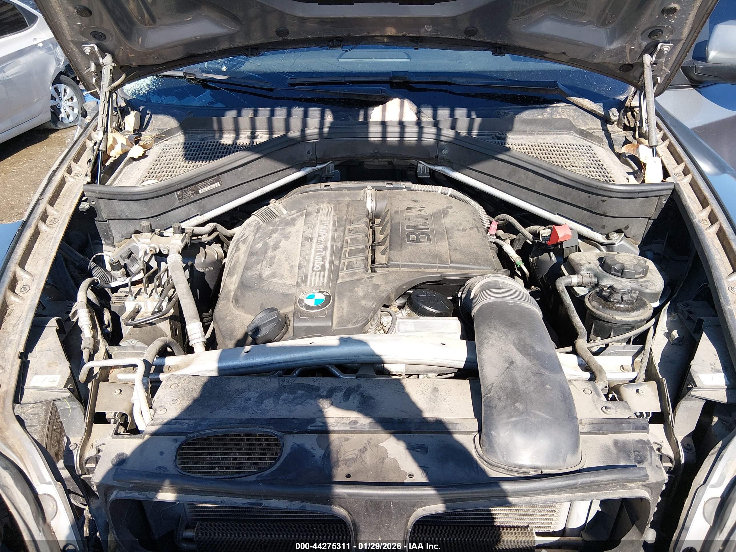BMW X6 image 10