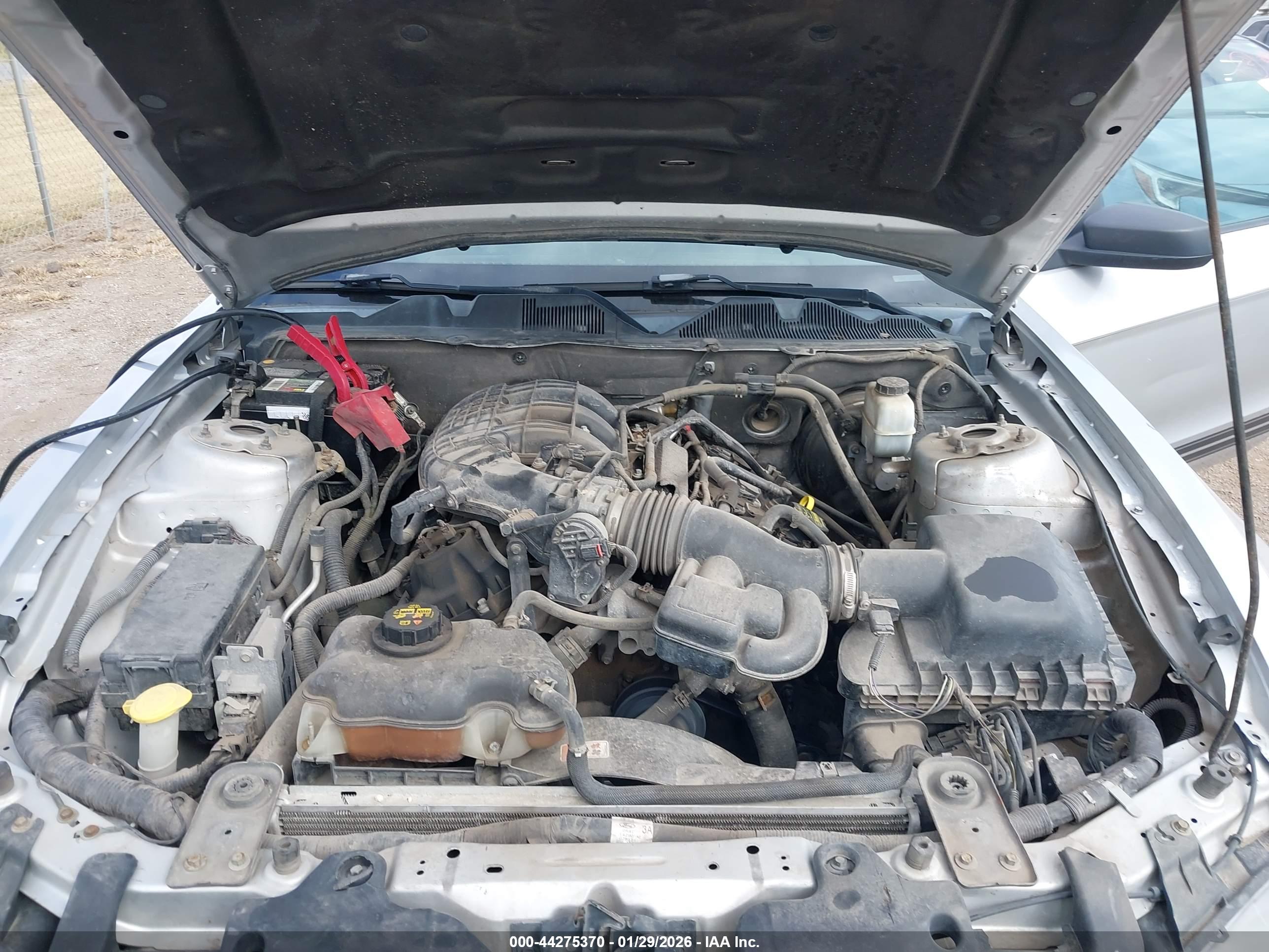 FORD MUSTANG image 10