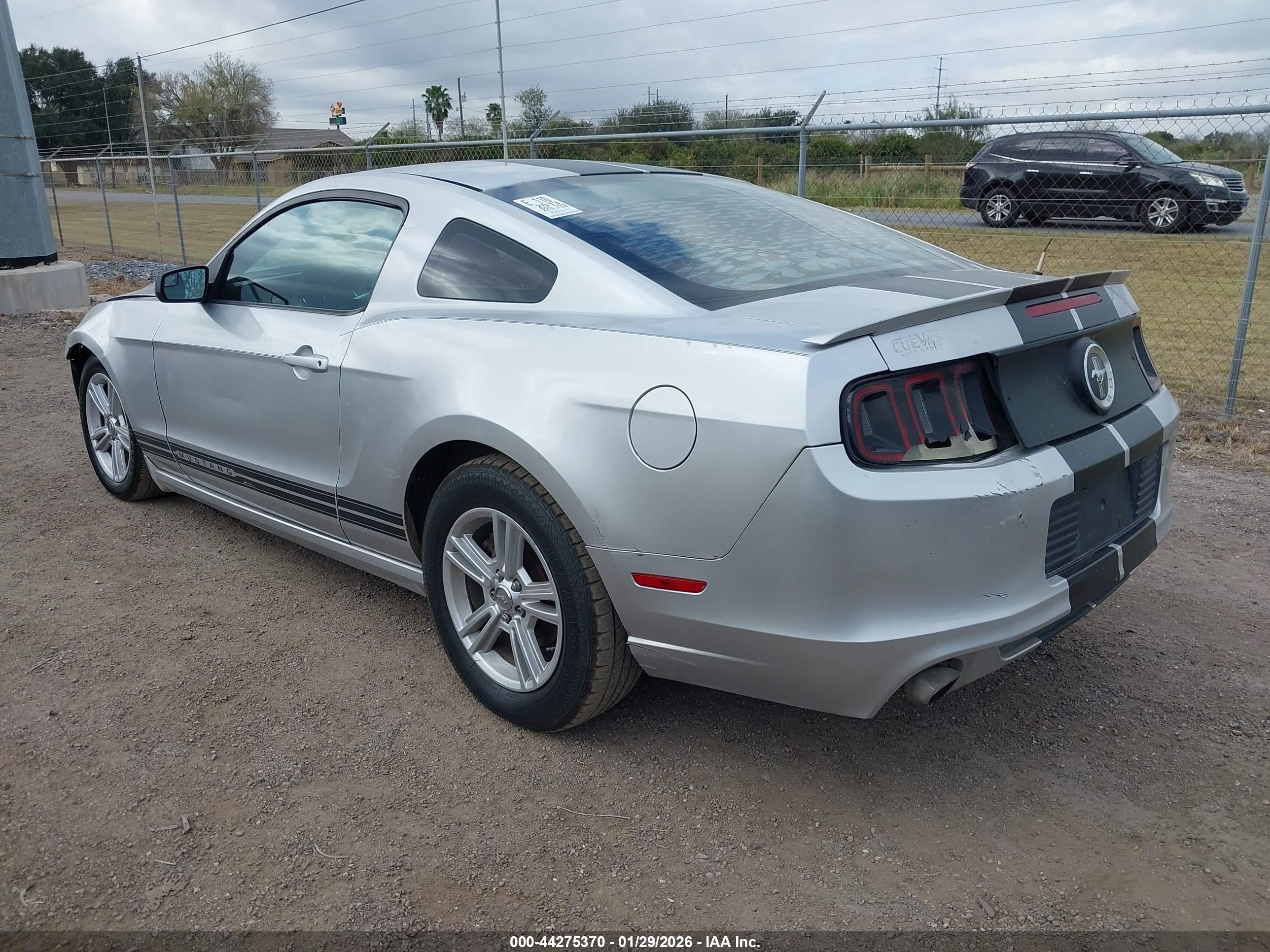 FORD MUSTANG image 3