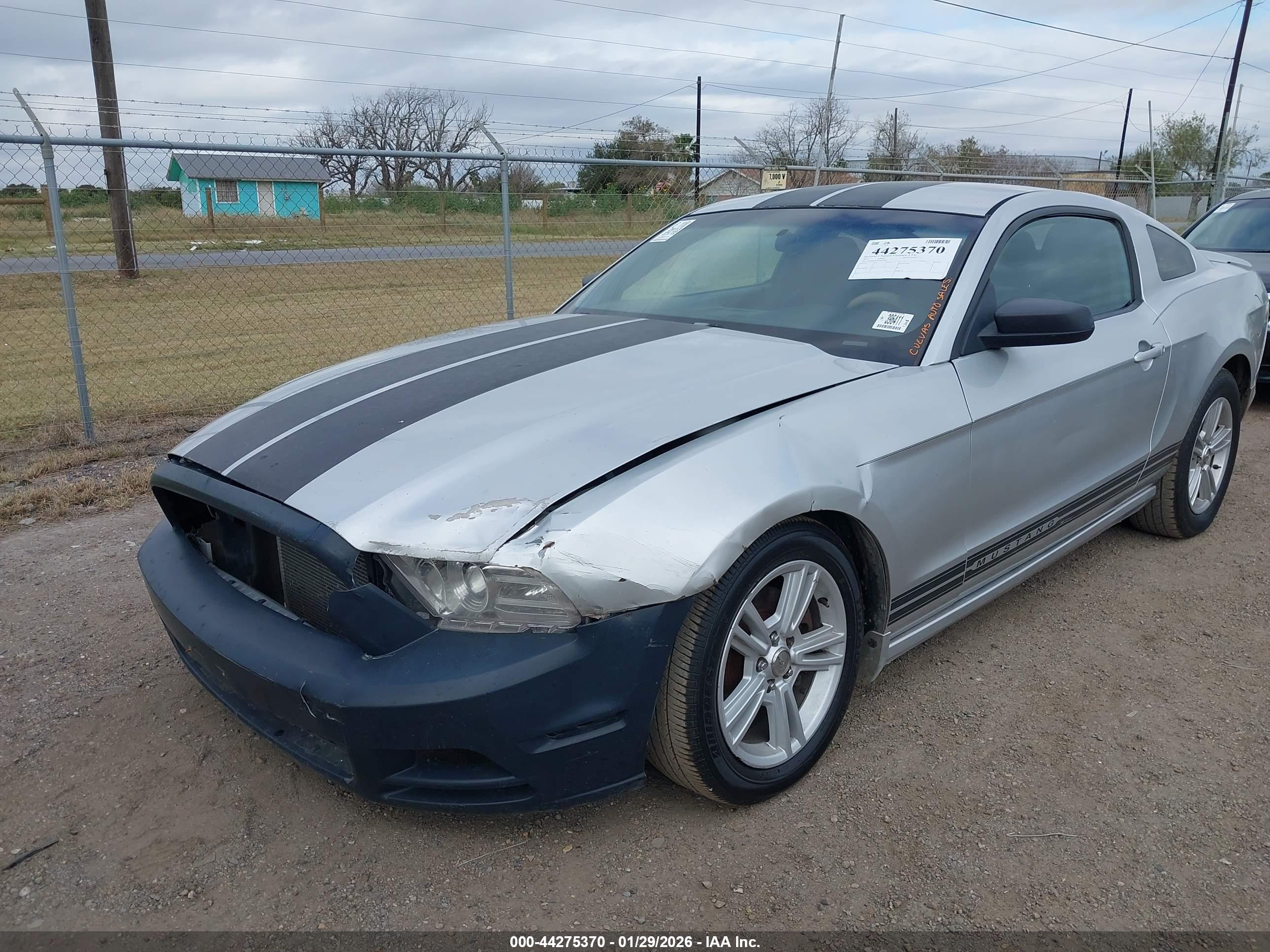 FORD MUSTANG image 6