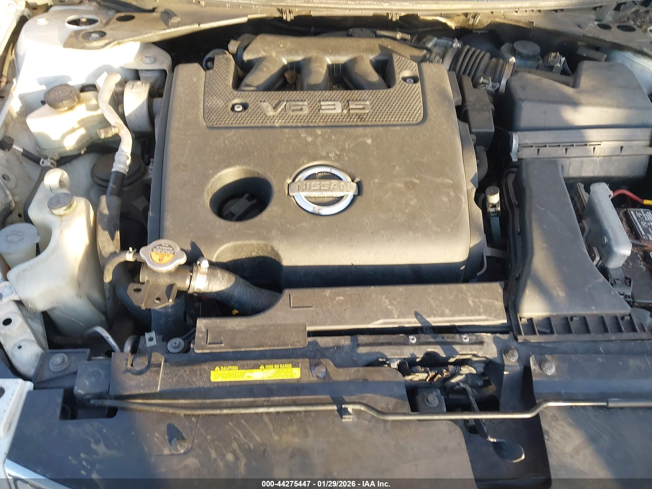 NISSAN ALTIMA image 10