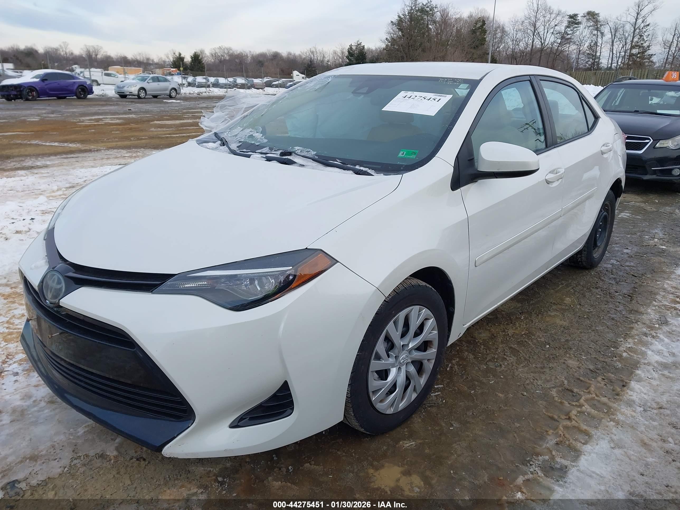 TOYOTA COROLLA image 2