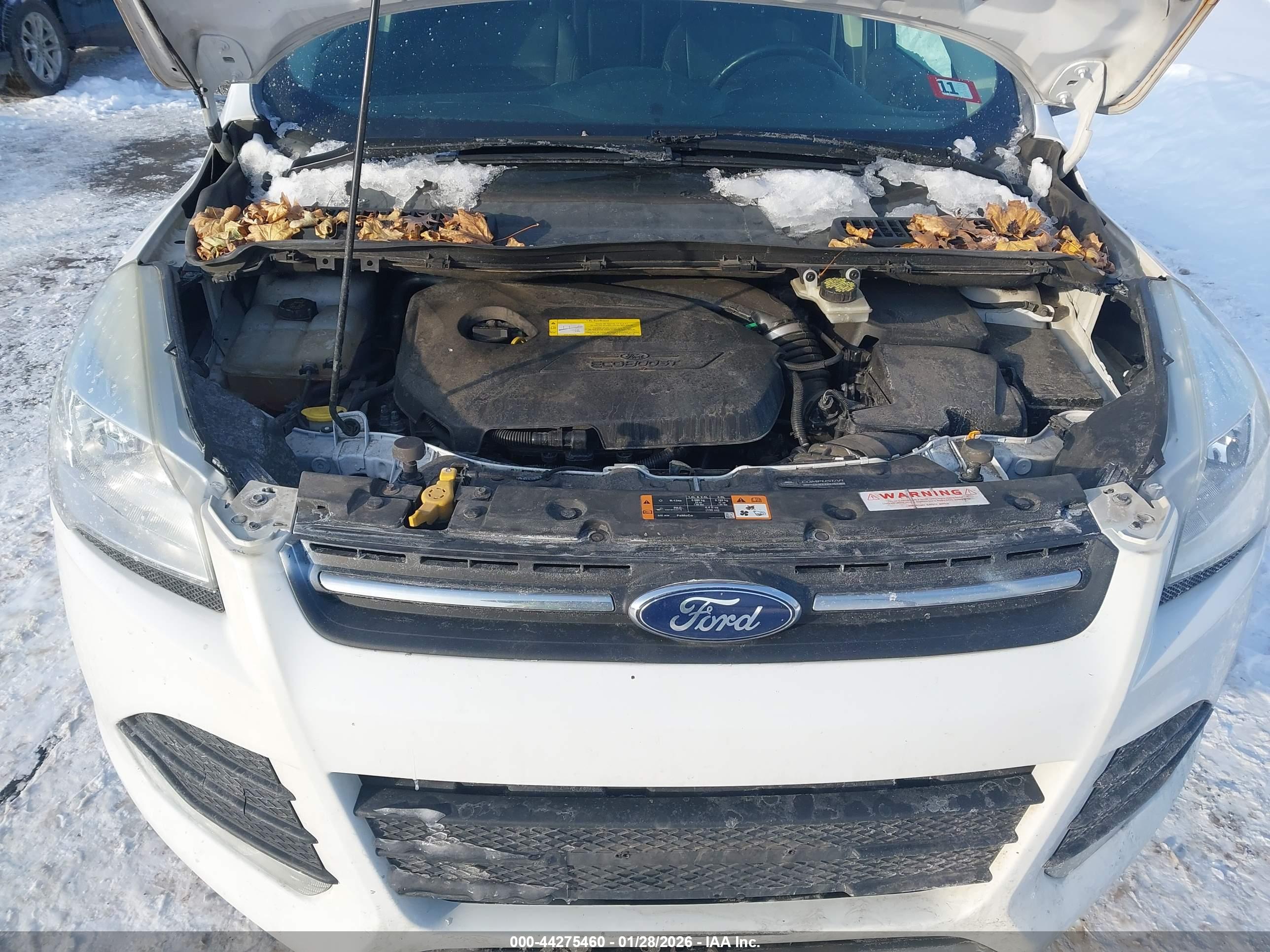 FORD ESCAPE image 10