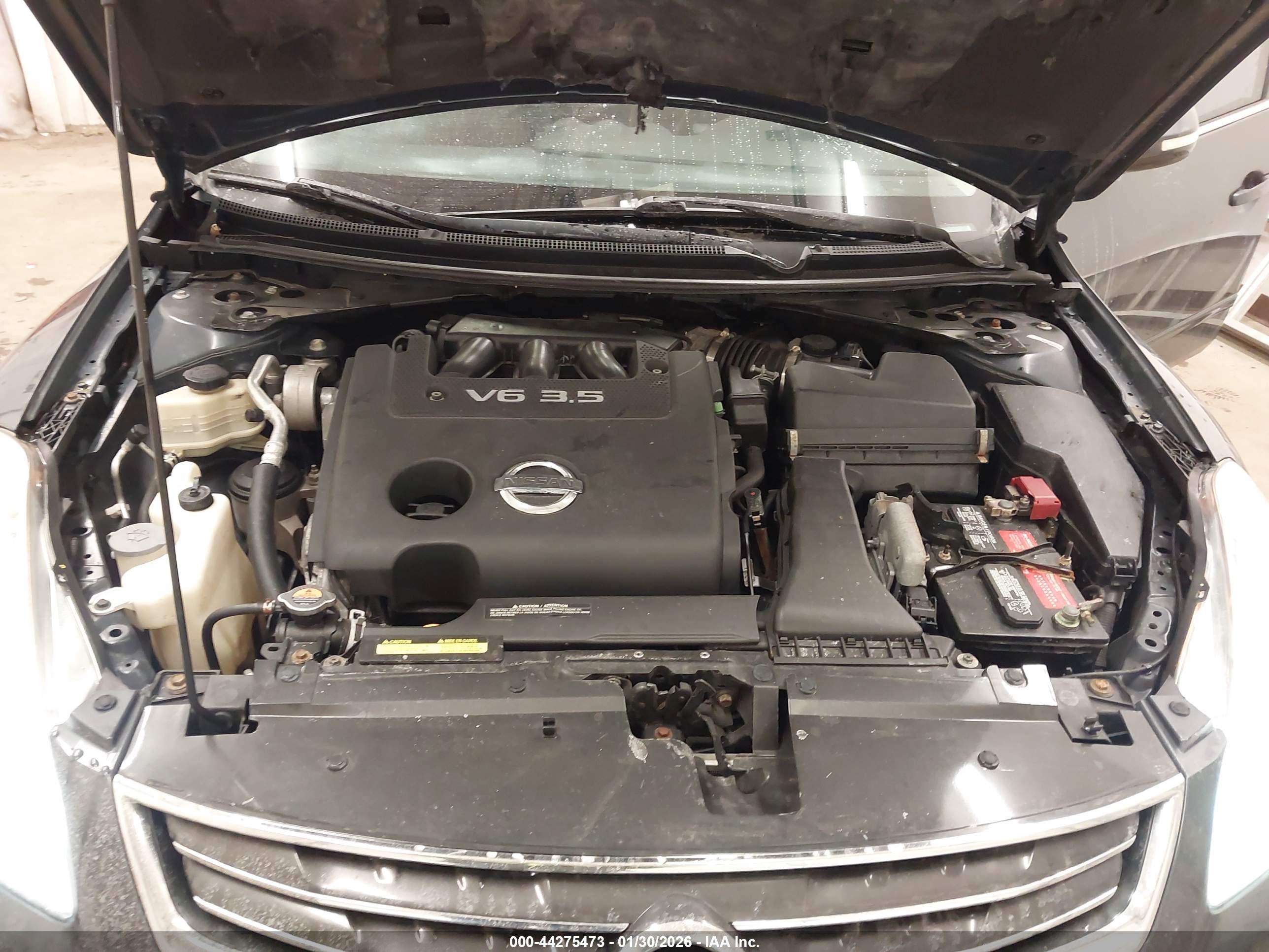 NISSAN ALTIMA image 10