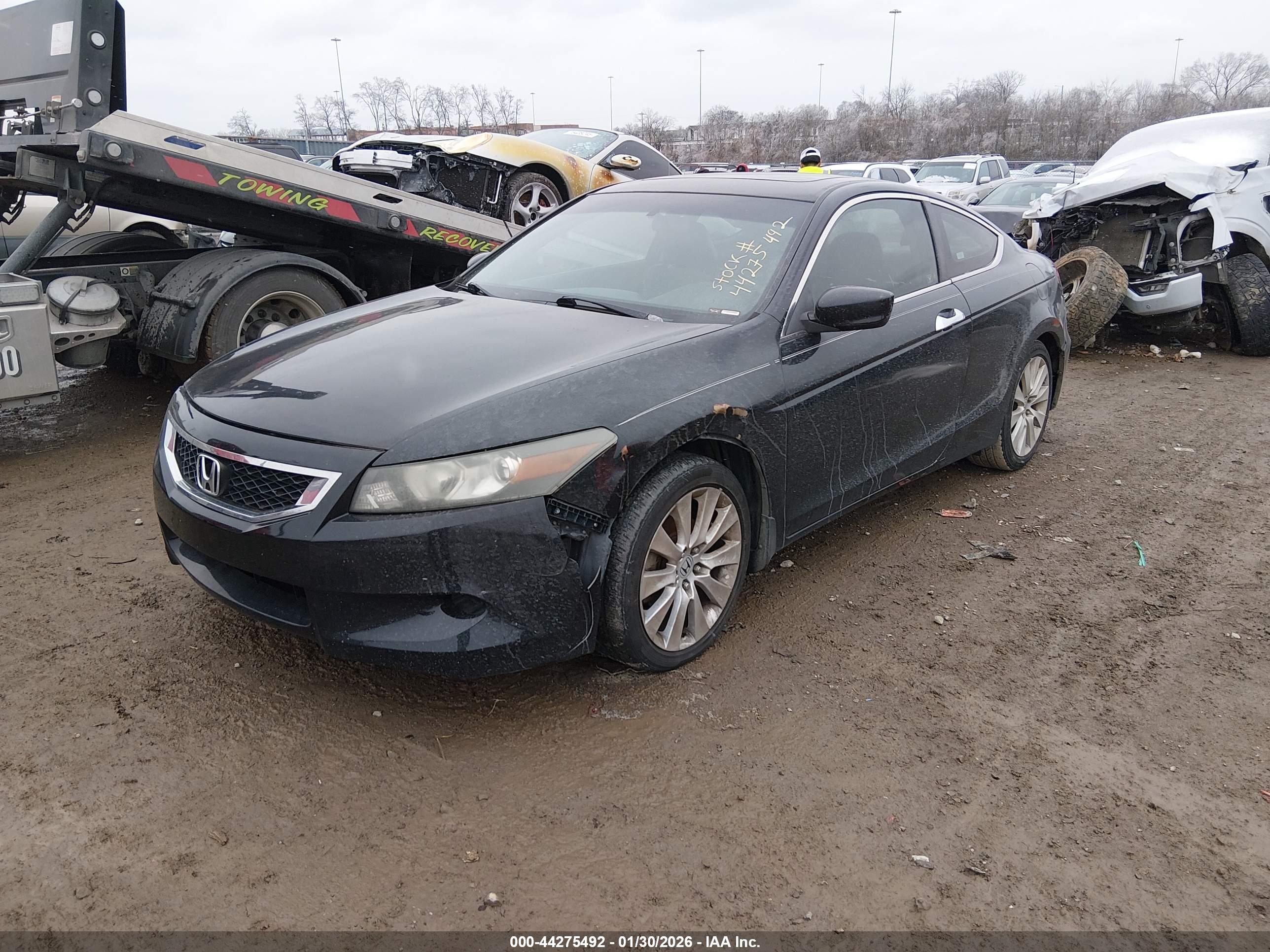 HONDA ACCORD image 2