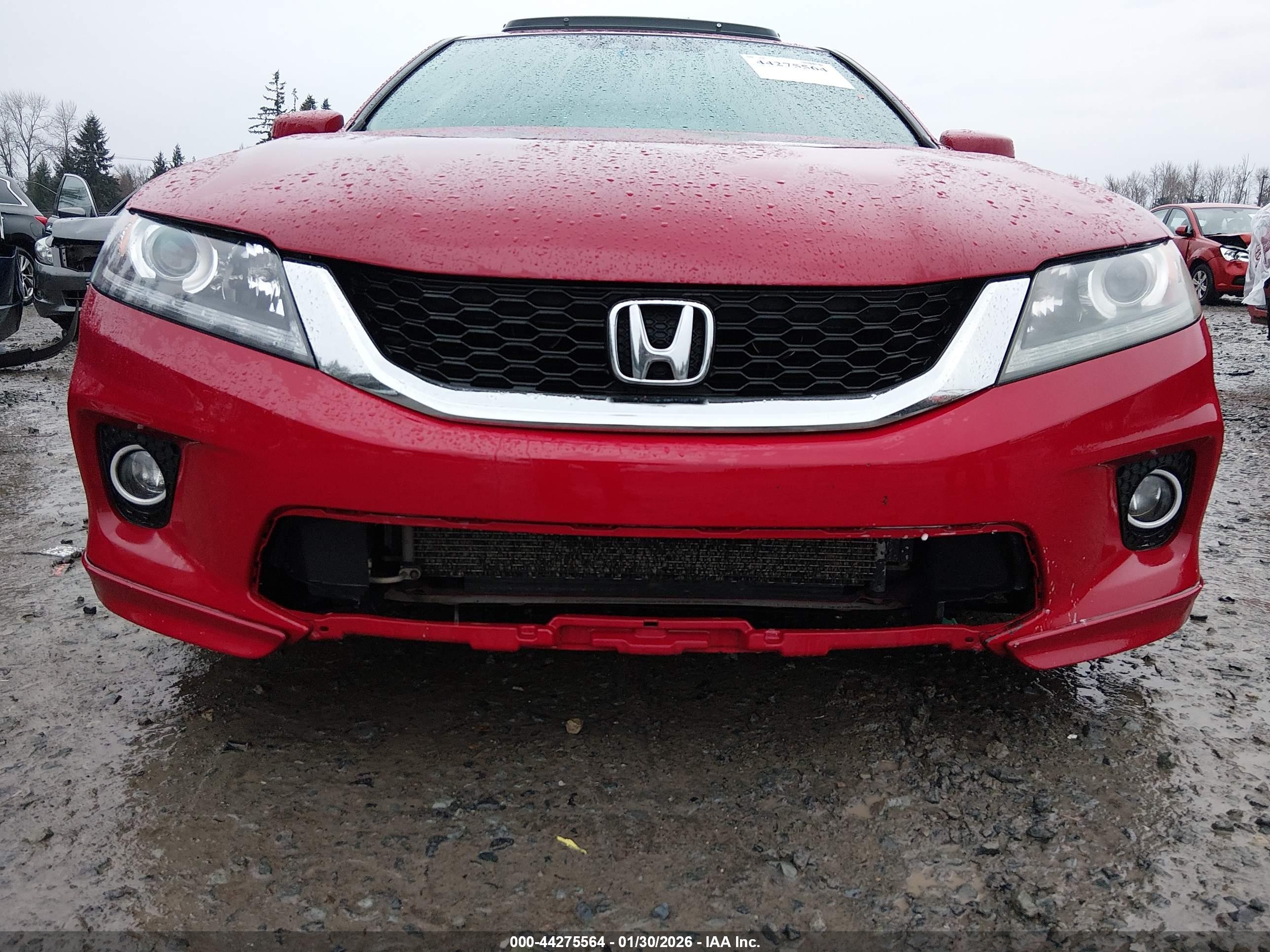 HONDA ACCORD image 6