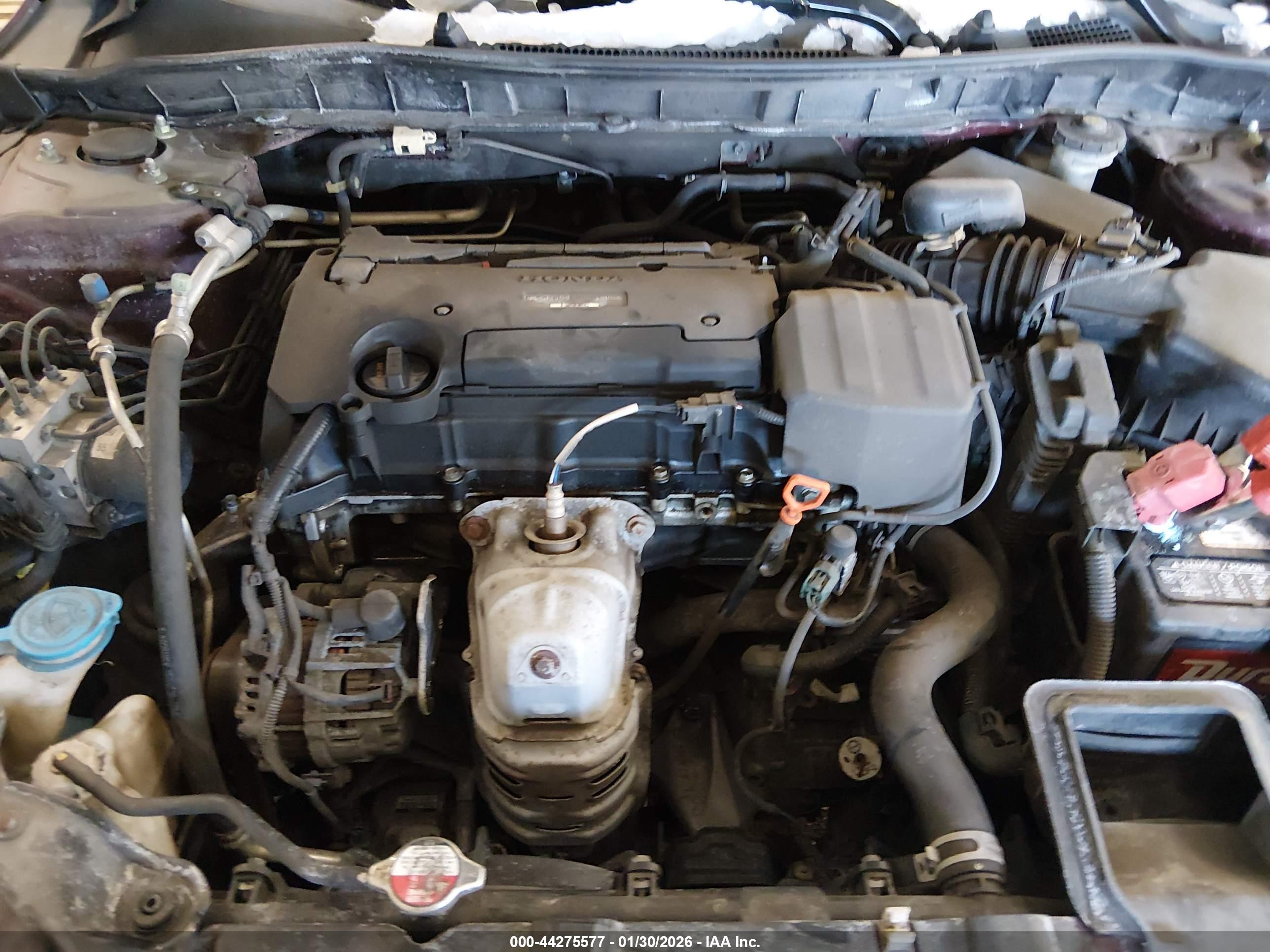 HONDA ACCORD image 10