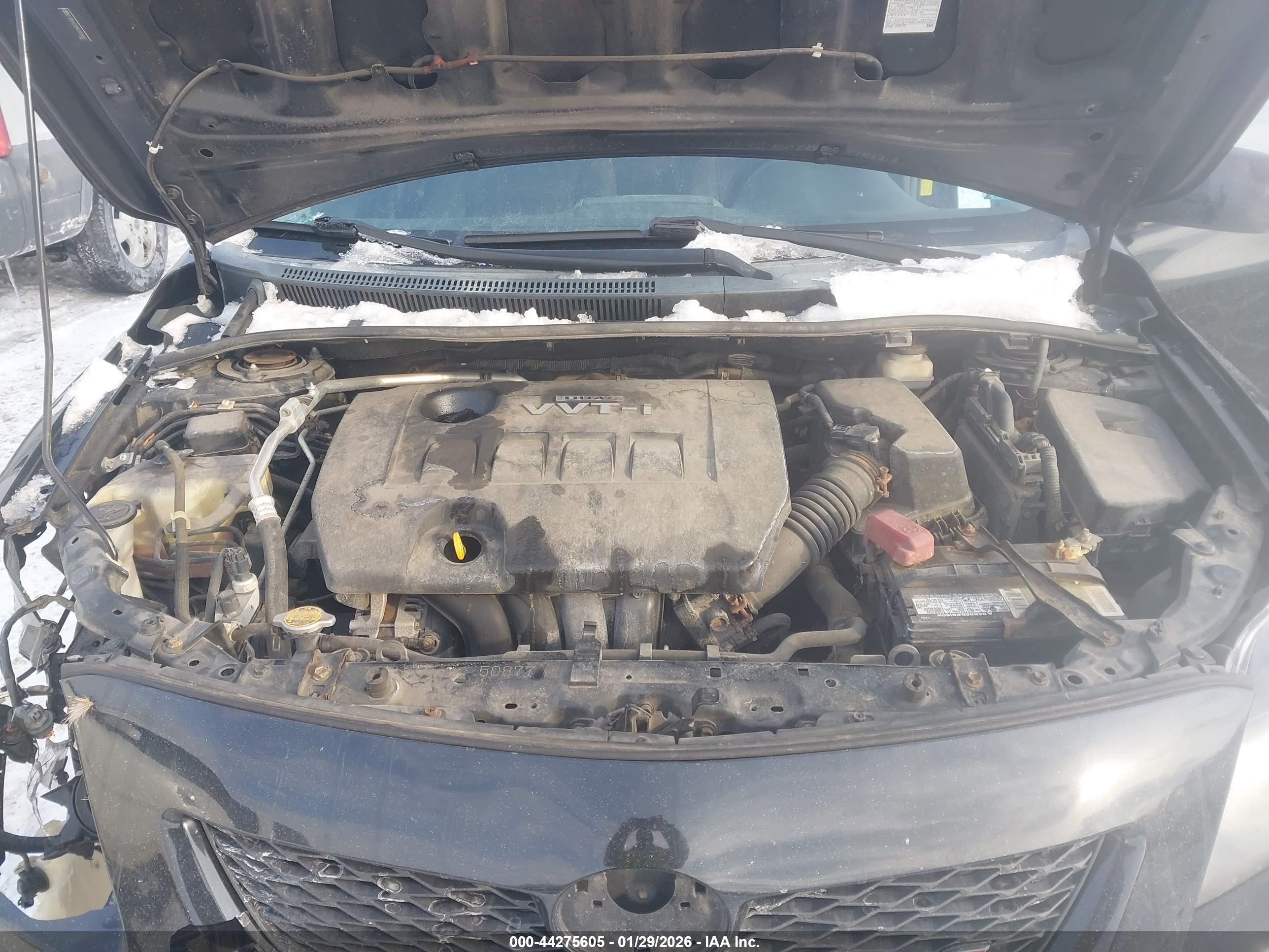 TOYOTA COROLLA image 10