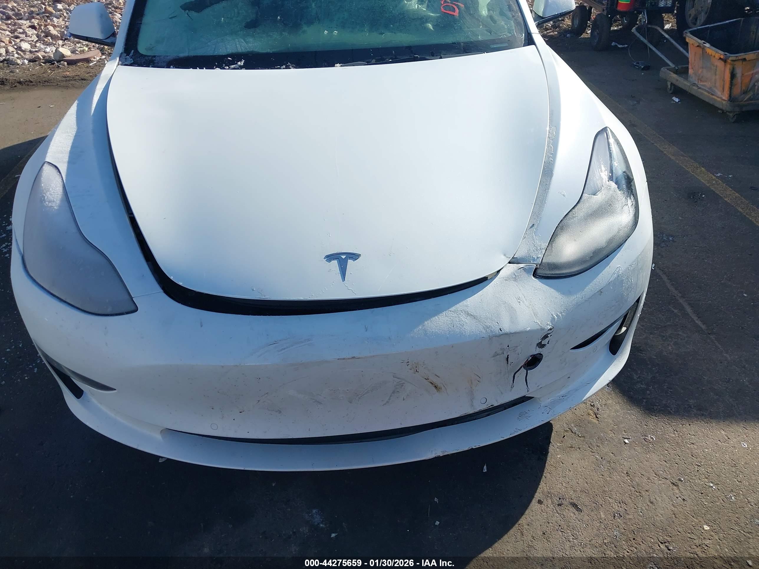 TESLA MODEL image 6