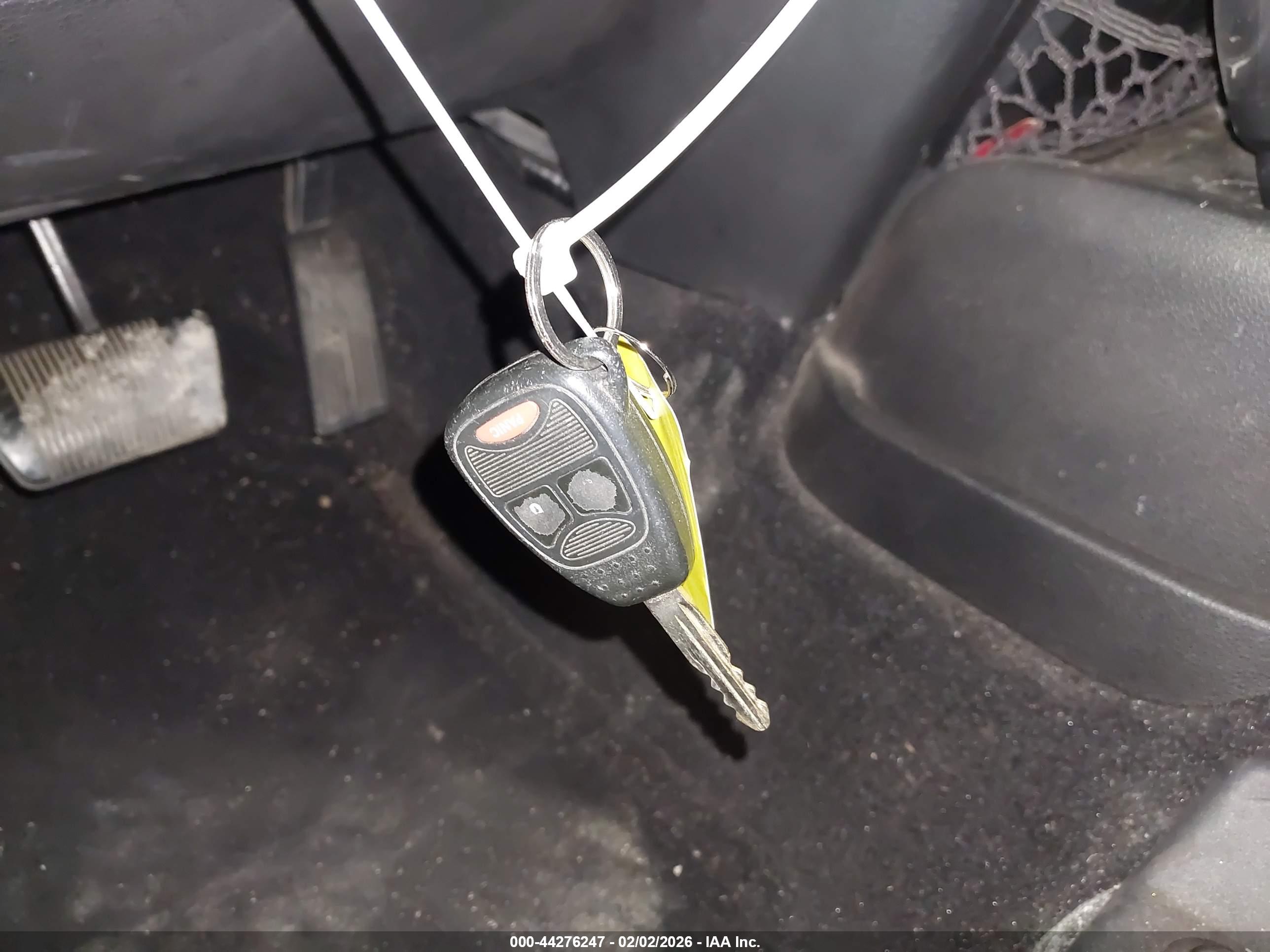 JEEP WRANGLER image 11