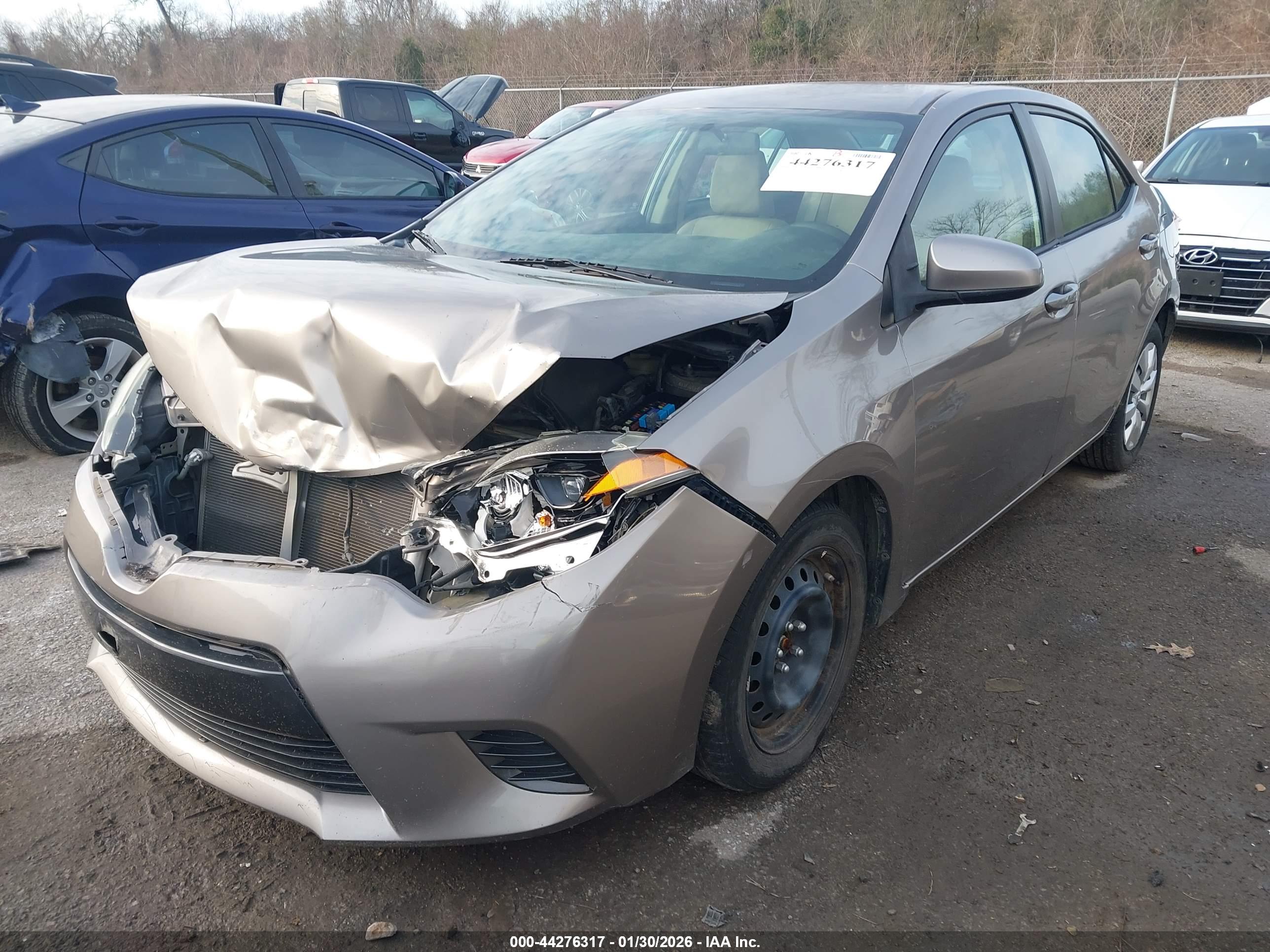 TOYOTA COROLLA image 2