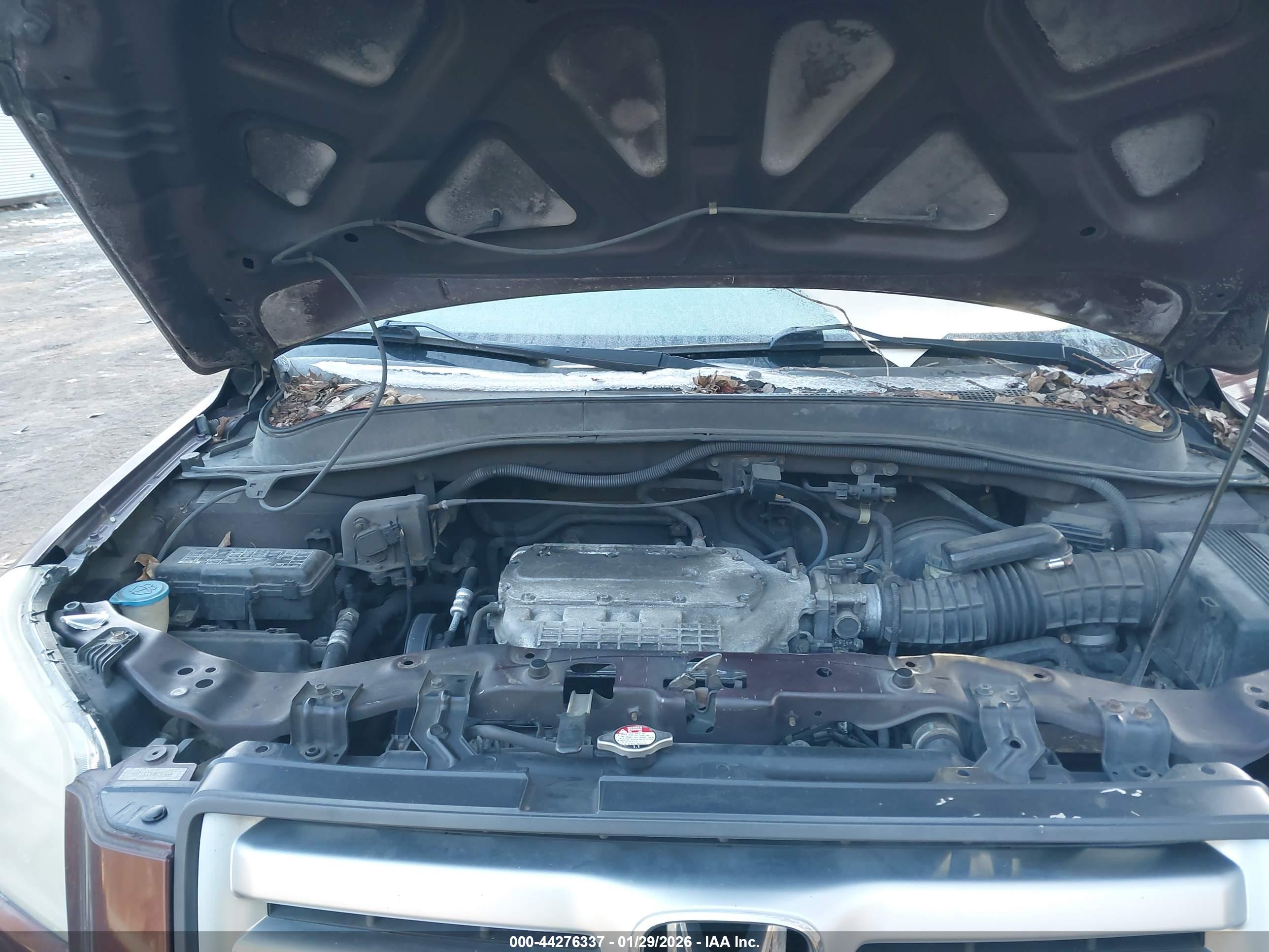 HONDA PILOT image 10