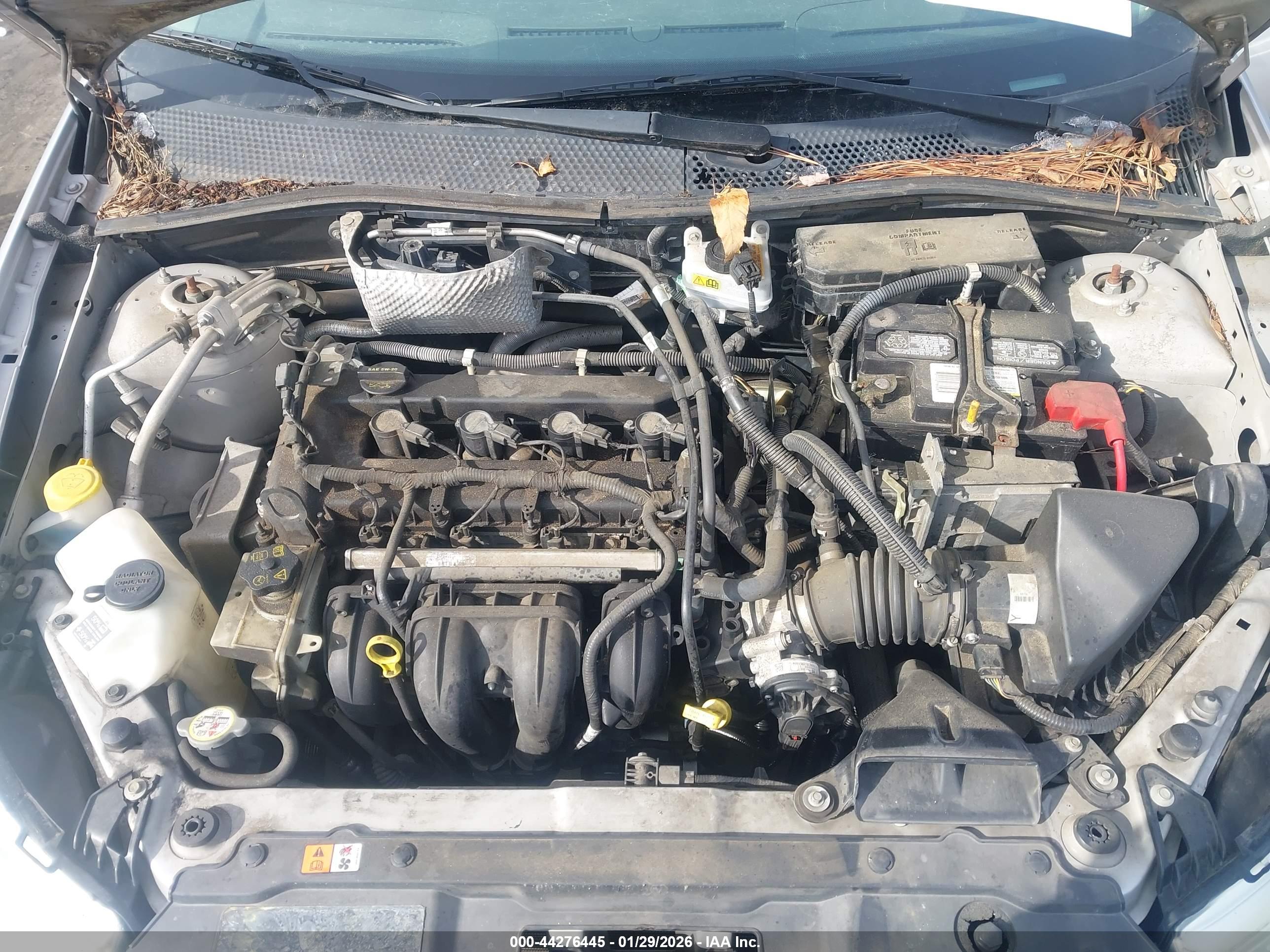 FORD FOCUS image 10