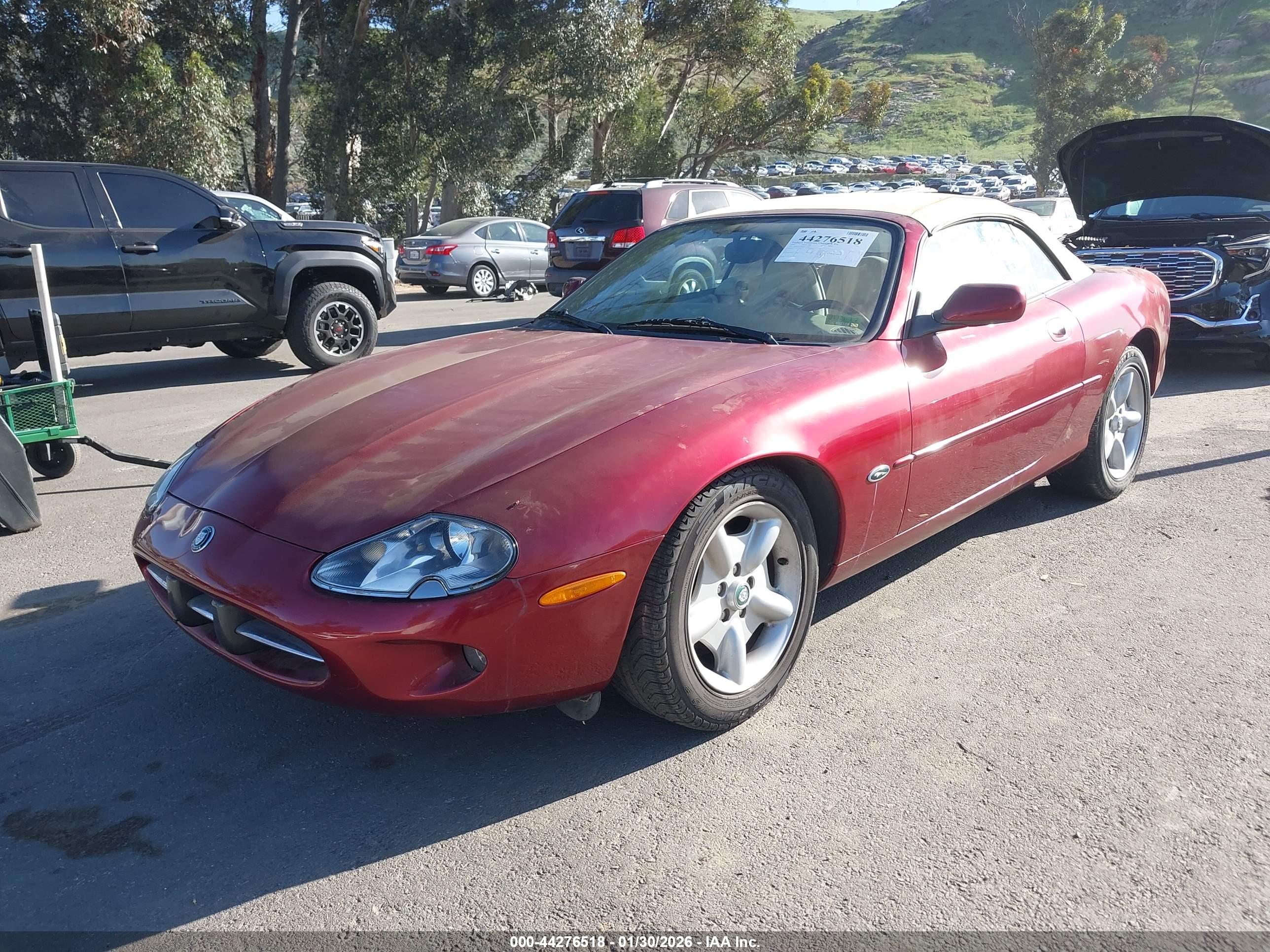 JAGUAR XK8 image 2