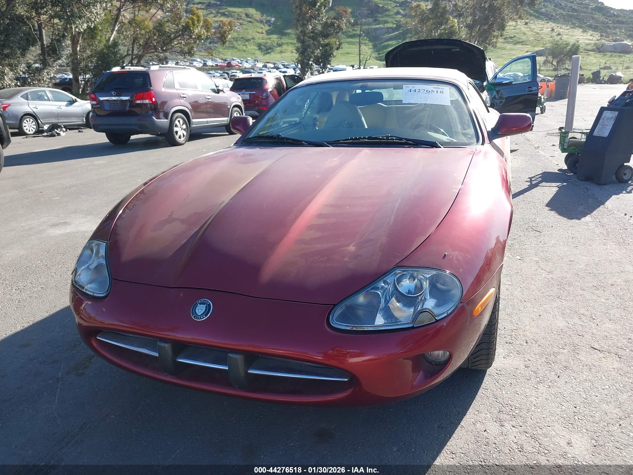 JAGUAR XK8 image 6
