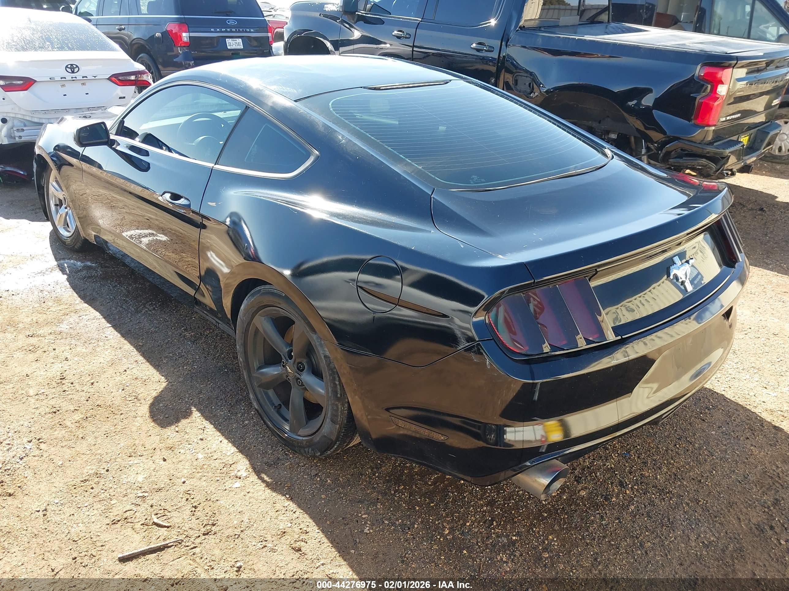 FORD MUSTANG image 3