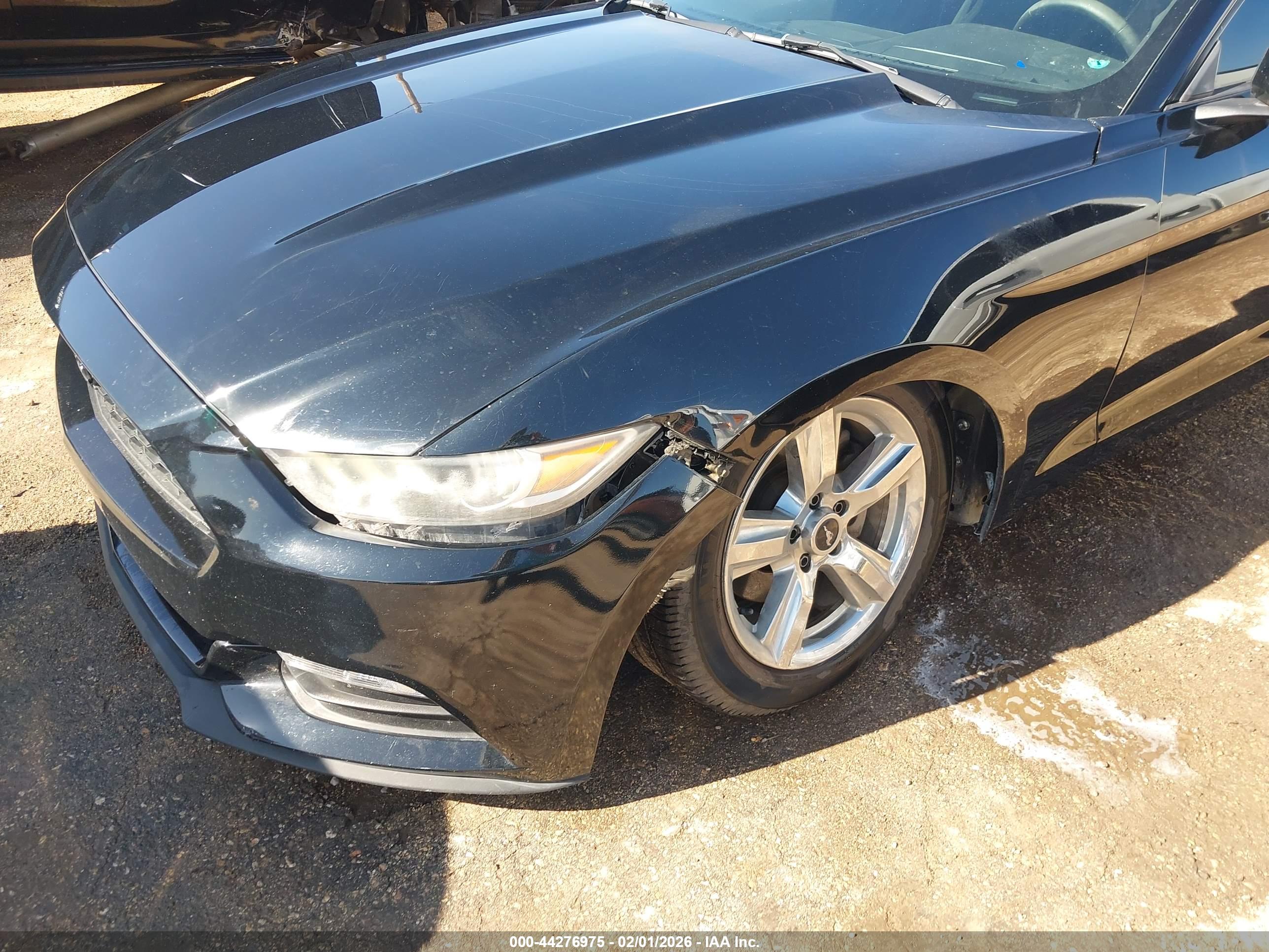 FORD MUSTANG image 6