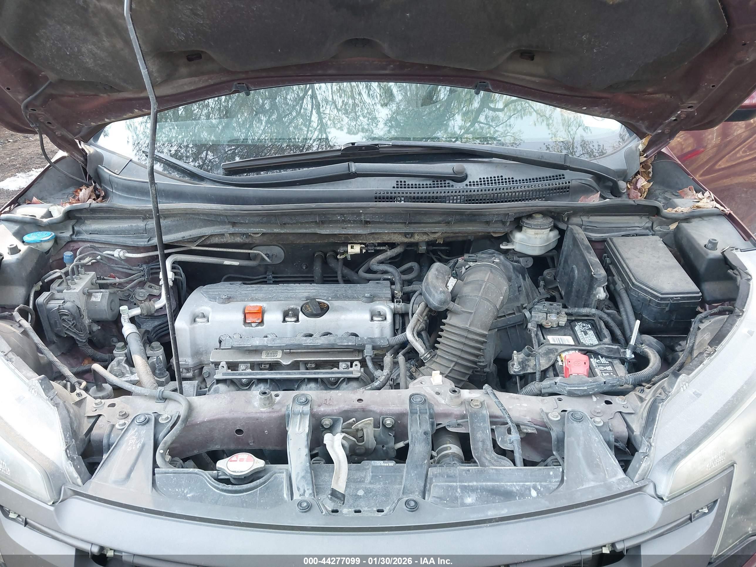 HONDA CR-V image 10