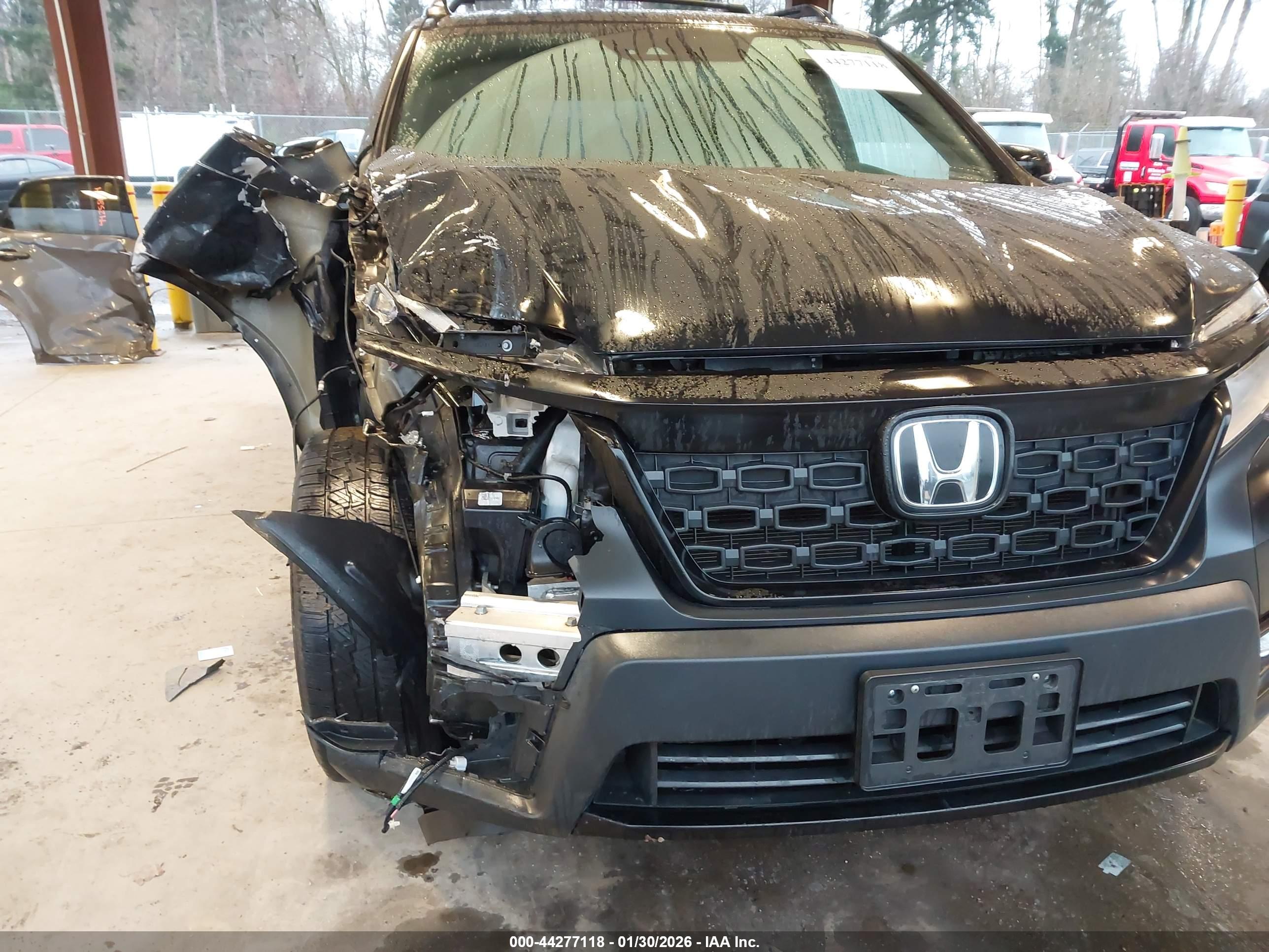 HONDA PASSPORT image 6