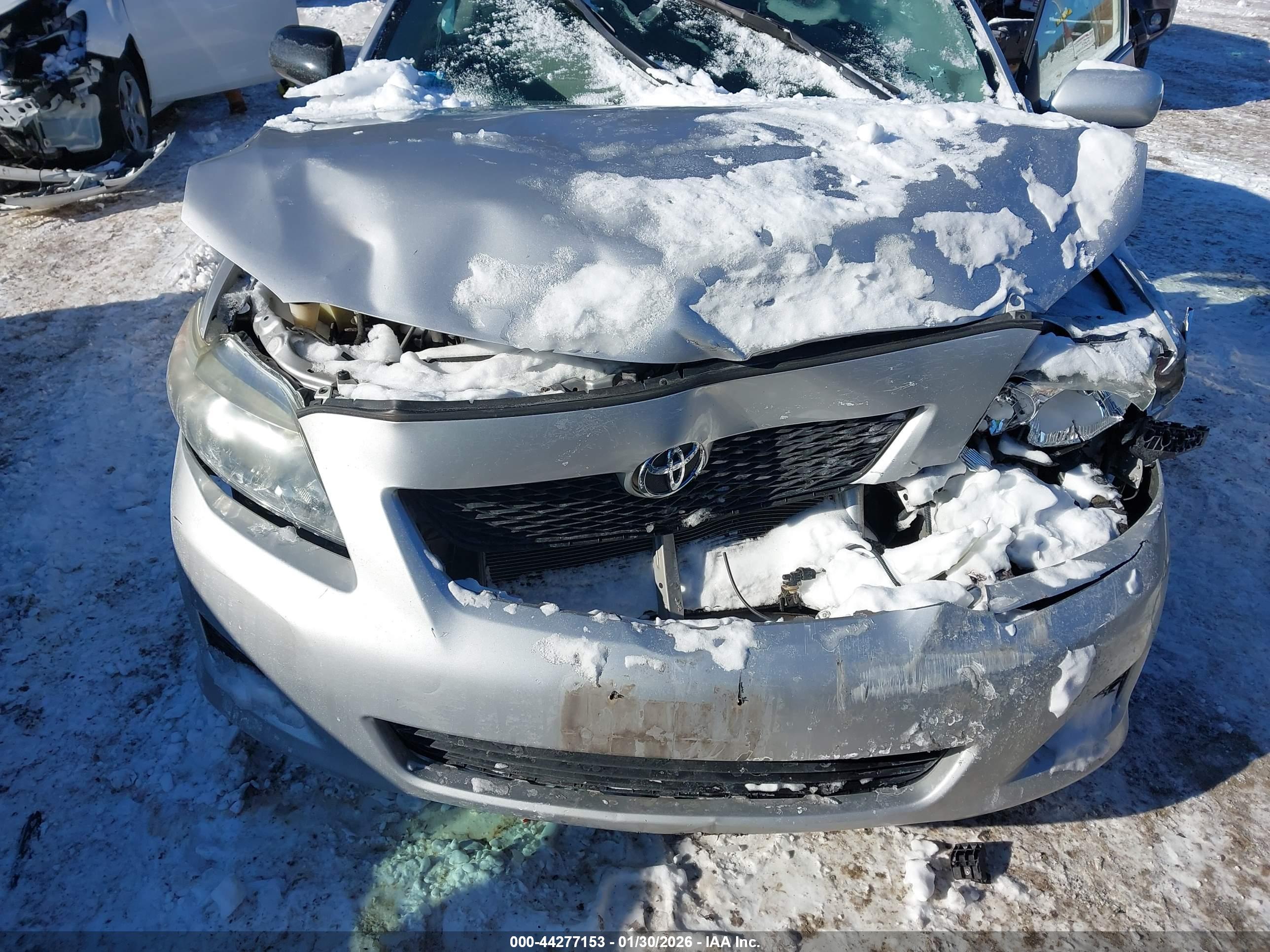 TOYOTA COROLLA image 6