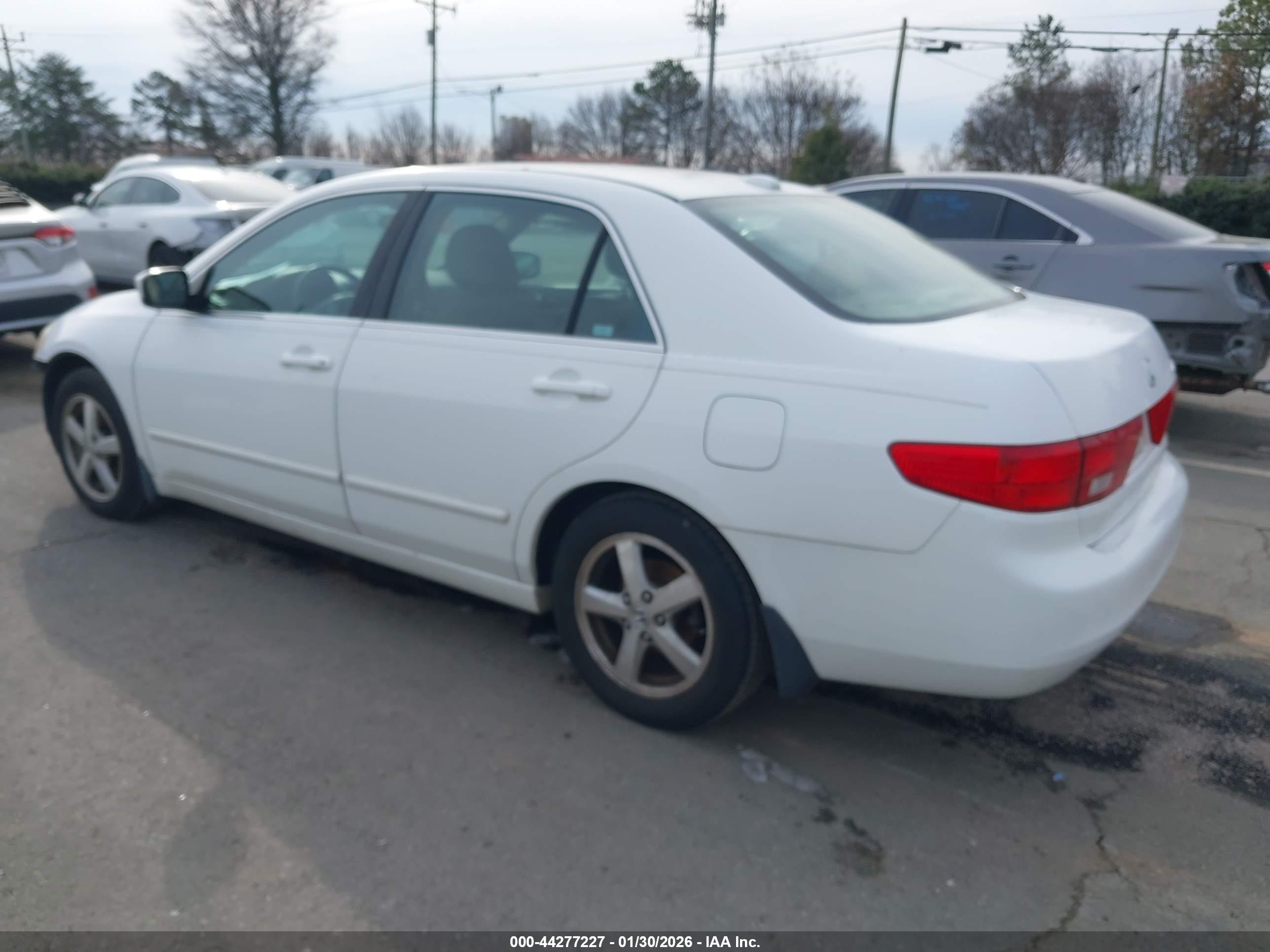 HONDA ACCORD image 3