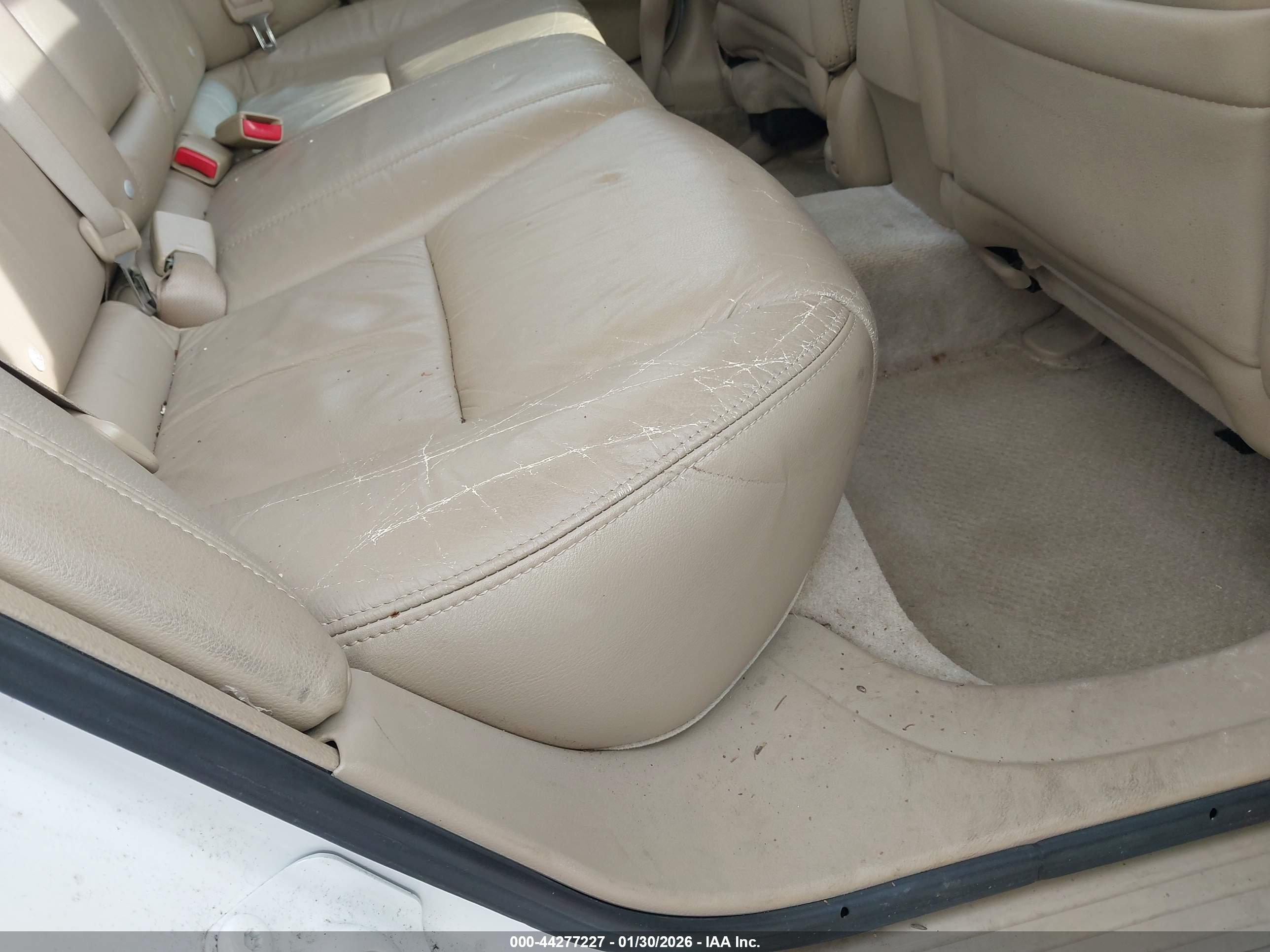 HONDA ACCORD image 8