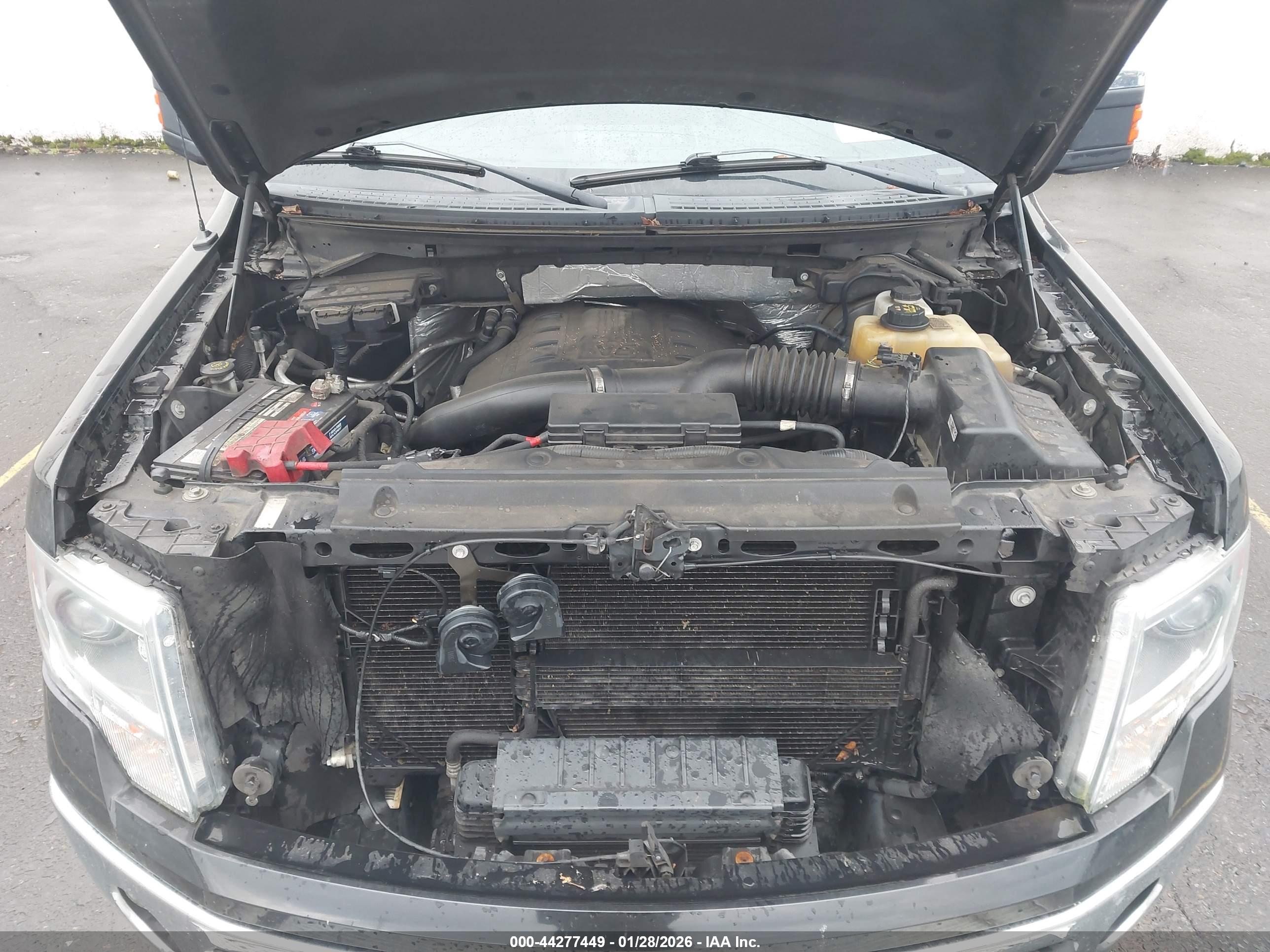 FORD F-150 image 10