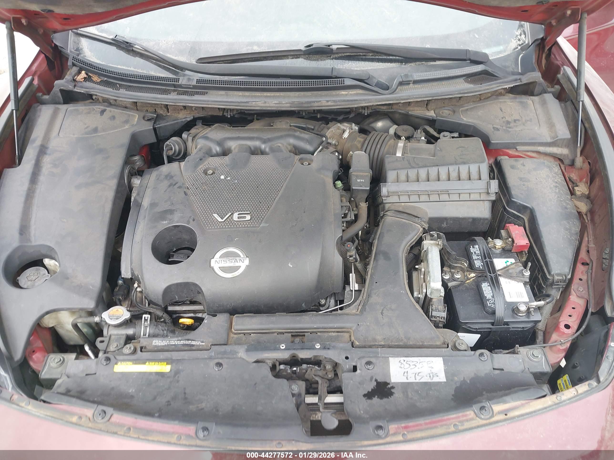 NISSAN MAXIMA image 10