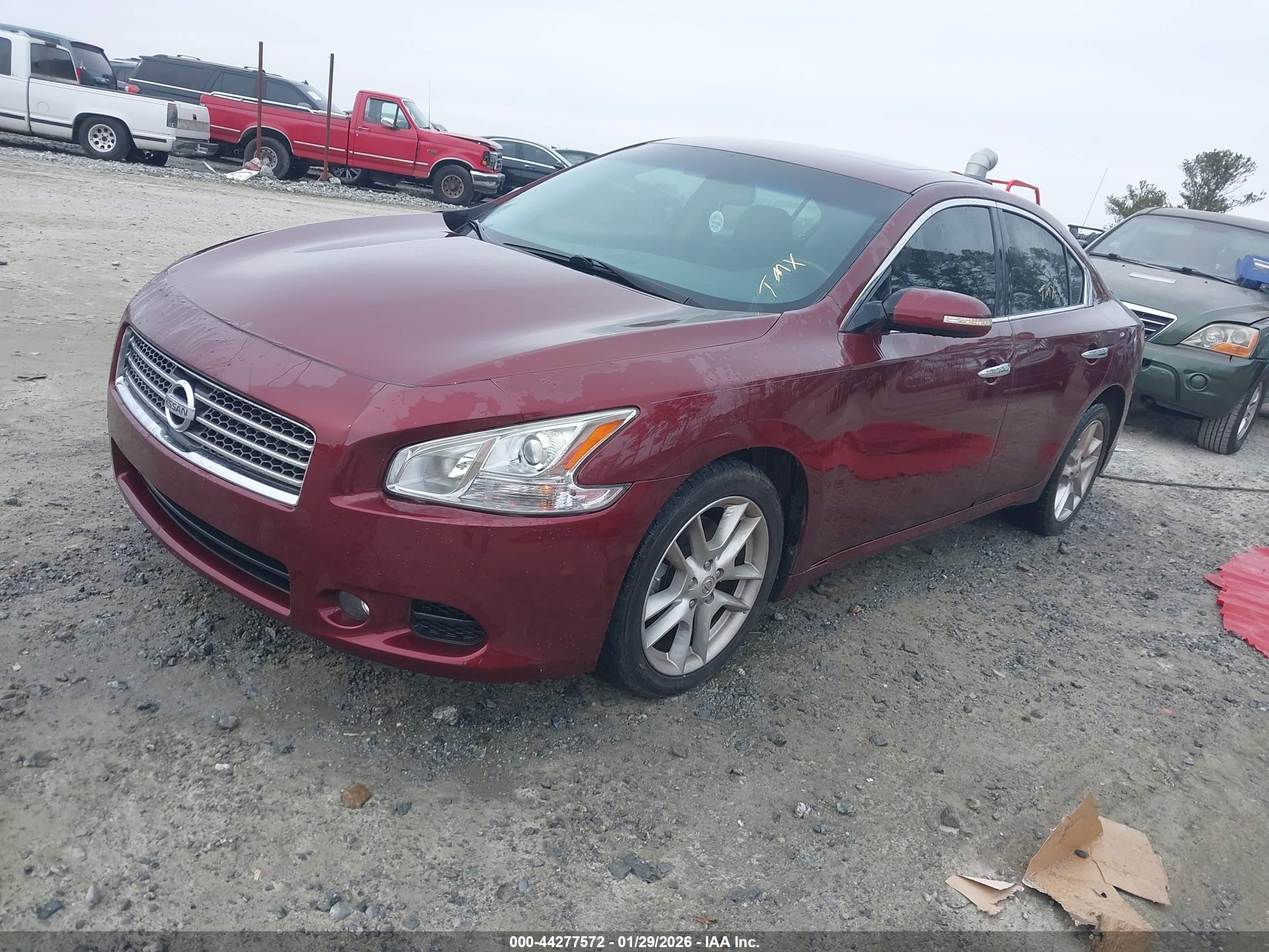 NISSAN MAXIMA image 2