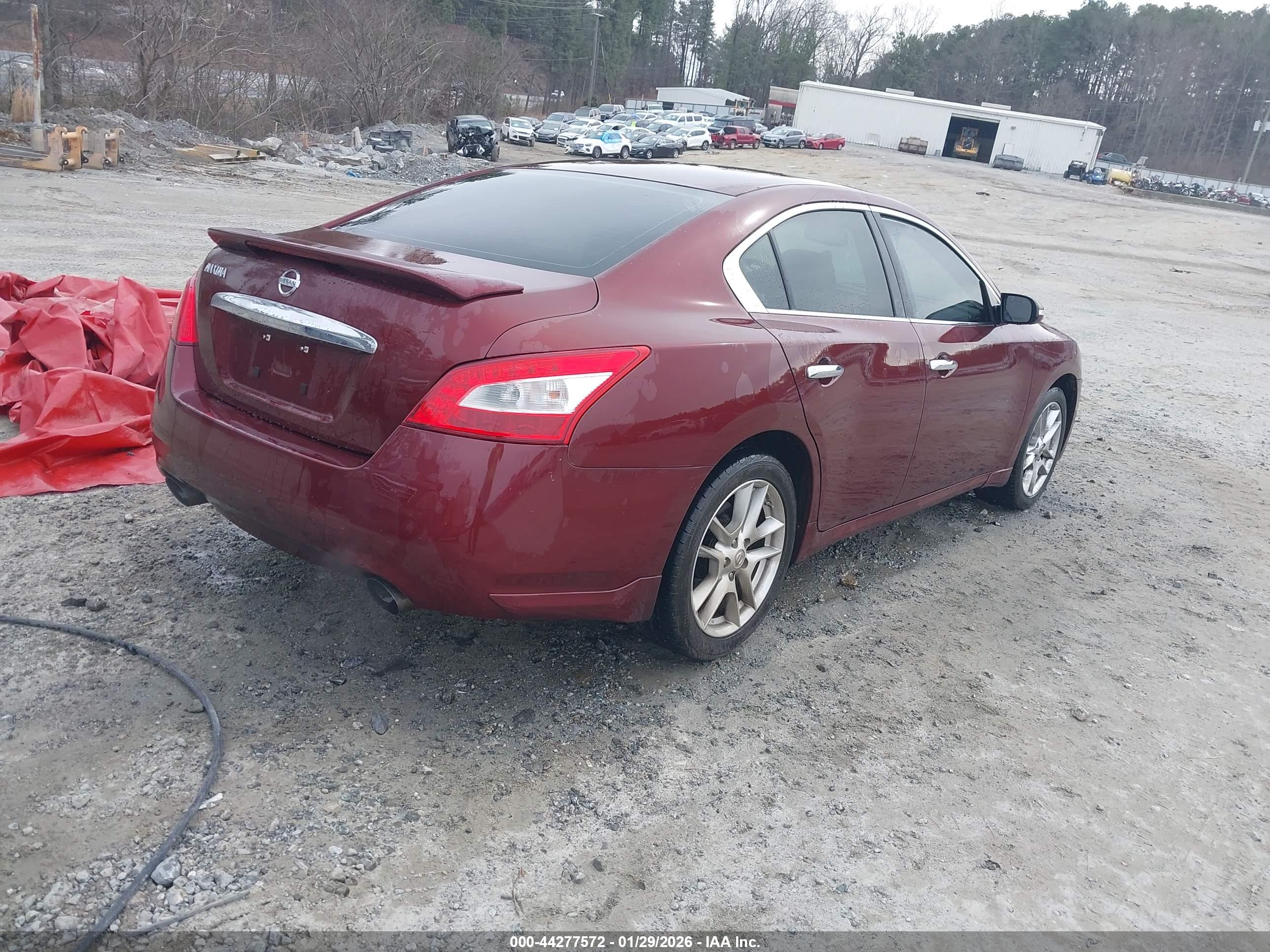 NISSAN MAXIMA image 4