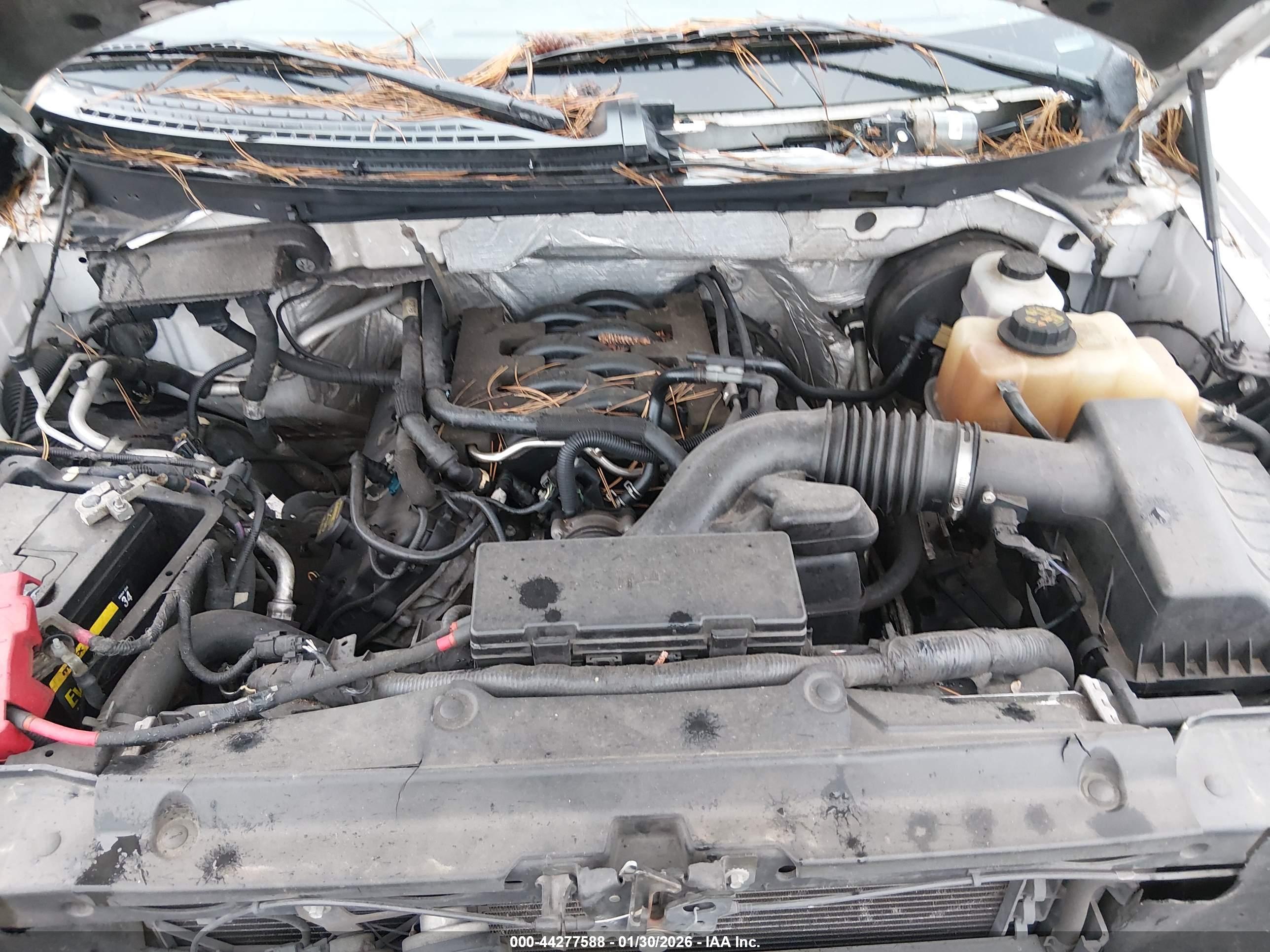 FORD F-150 image 10