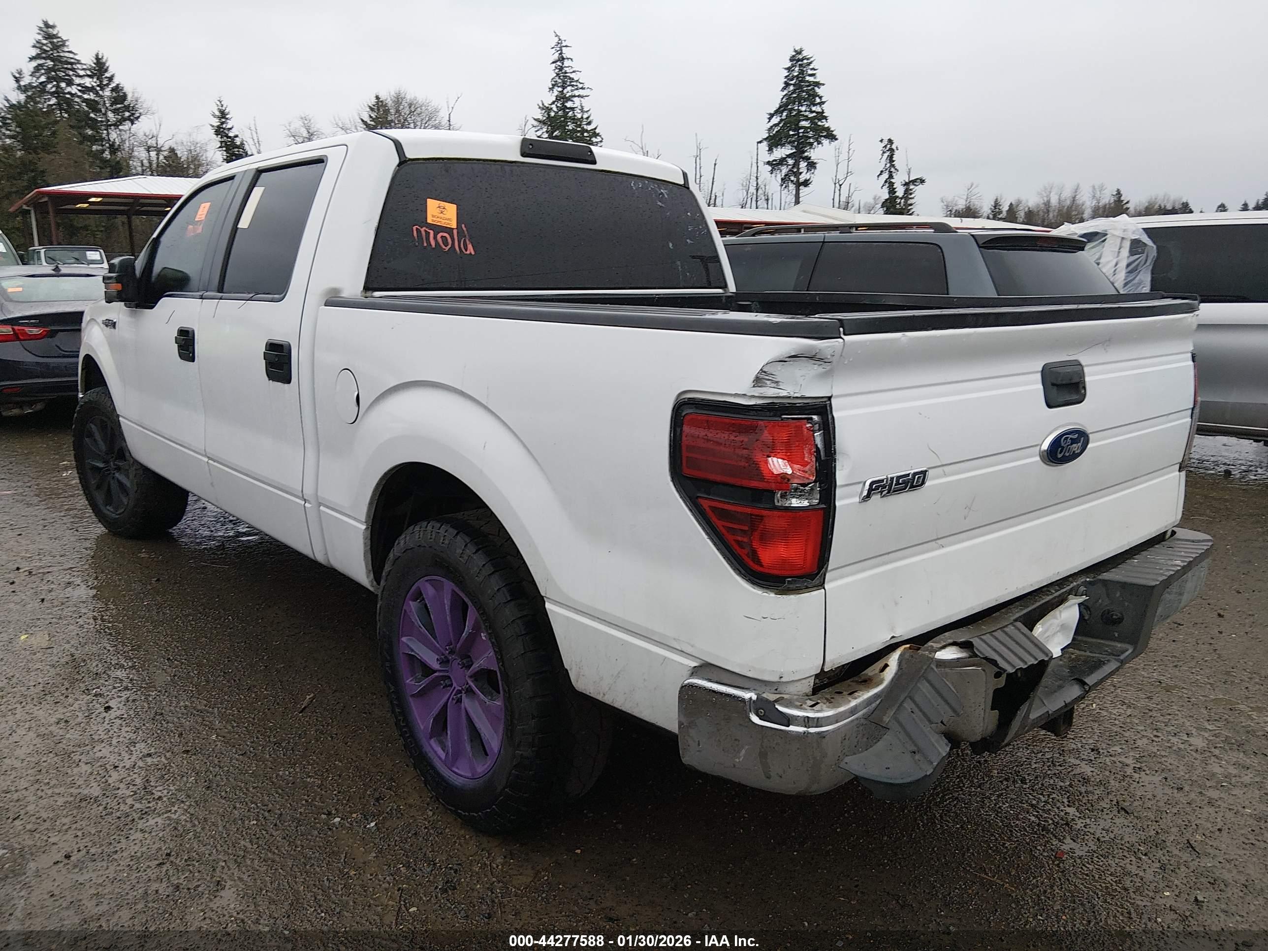 FORD F-150 image 3