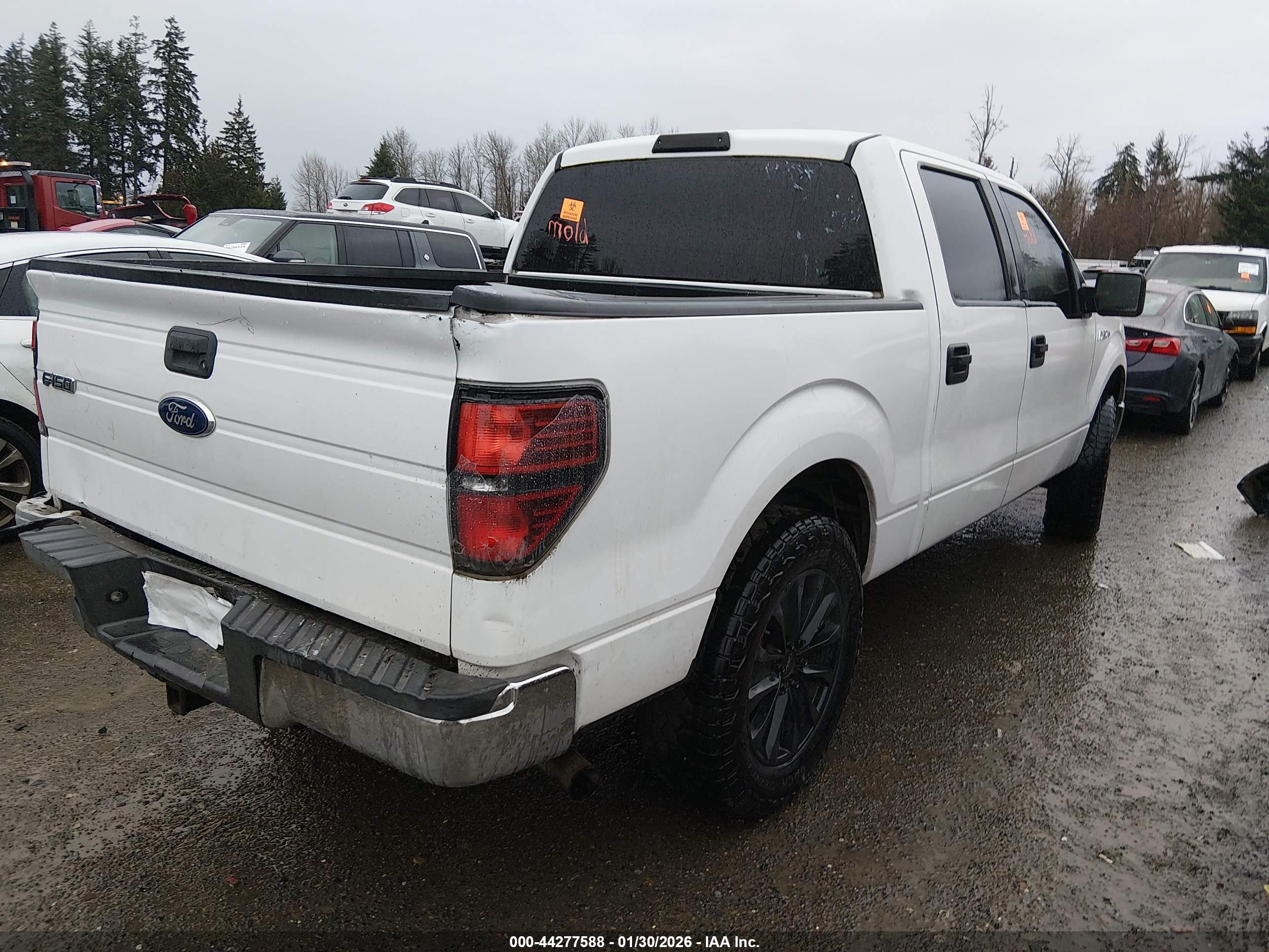 FORD F-150 image 4