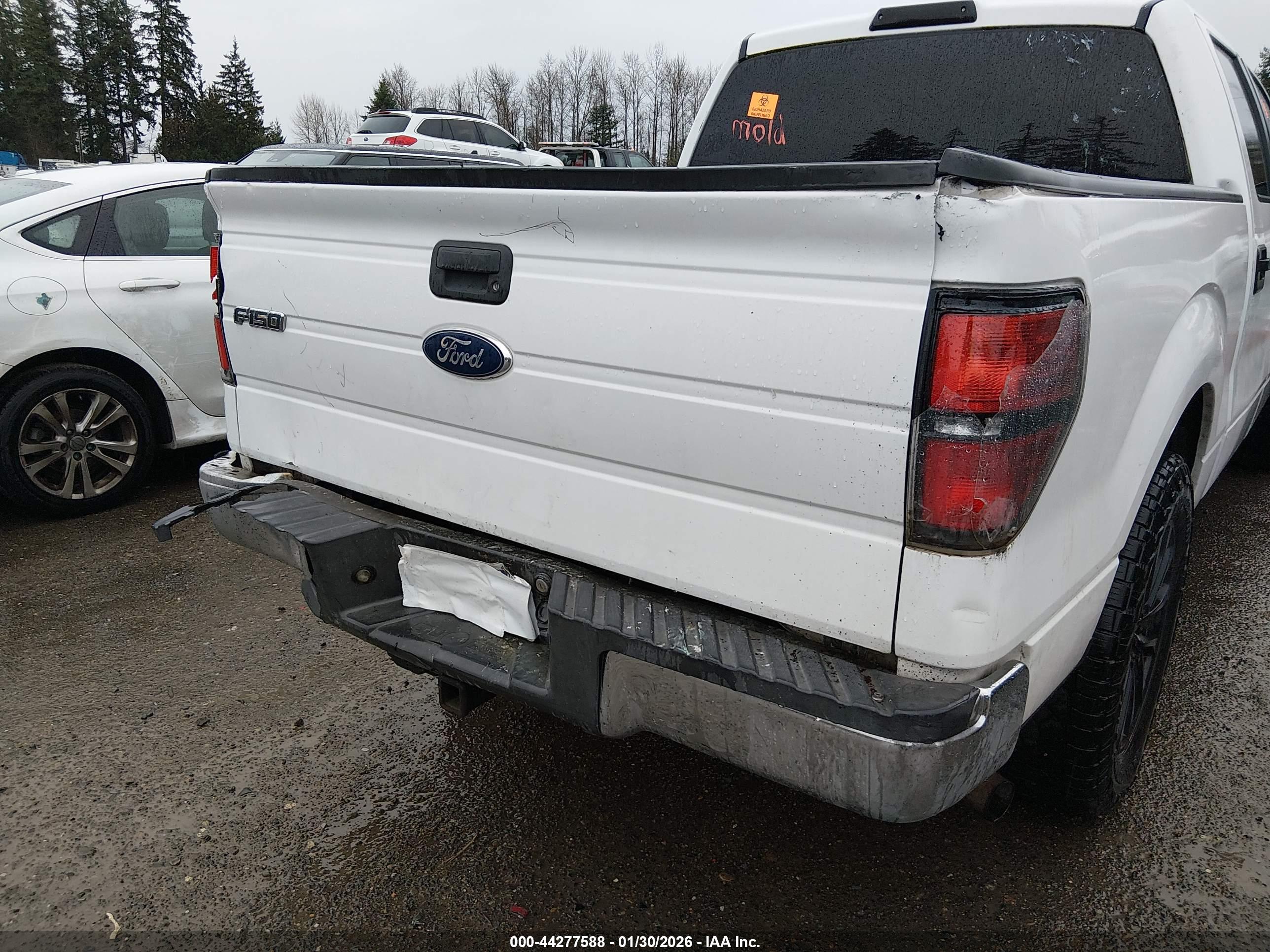 FORD F-150 image 6