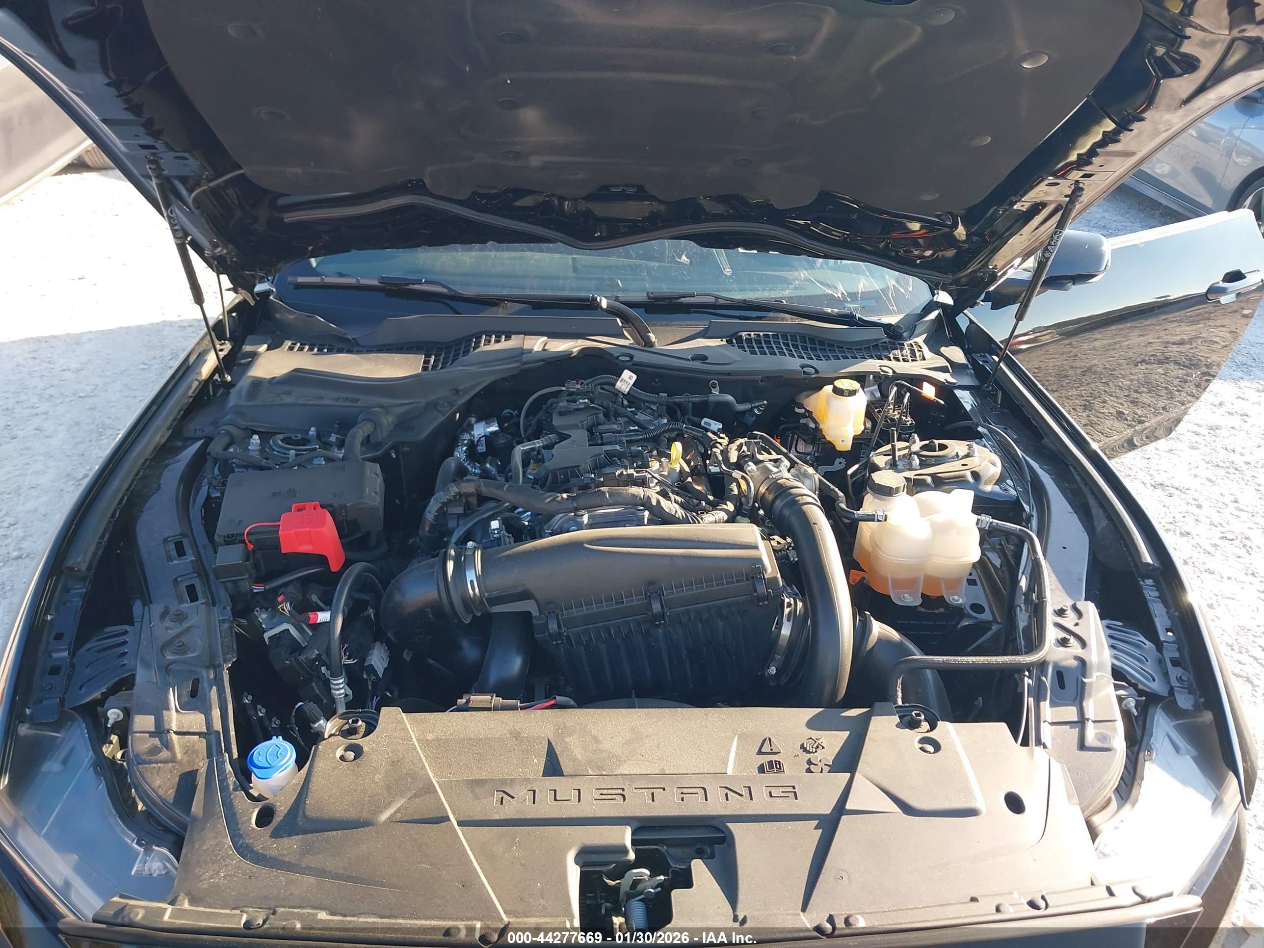 FORD MUSTANG image 10
