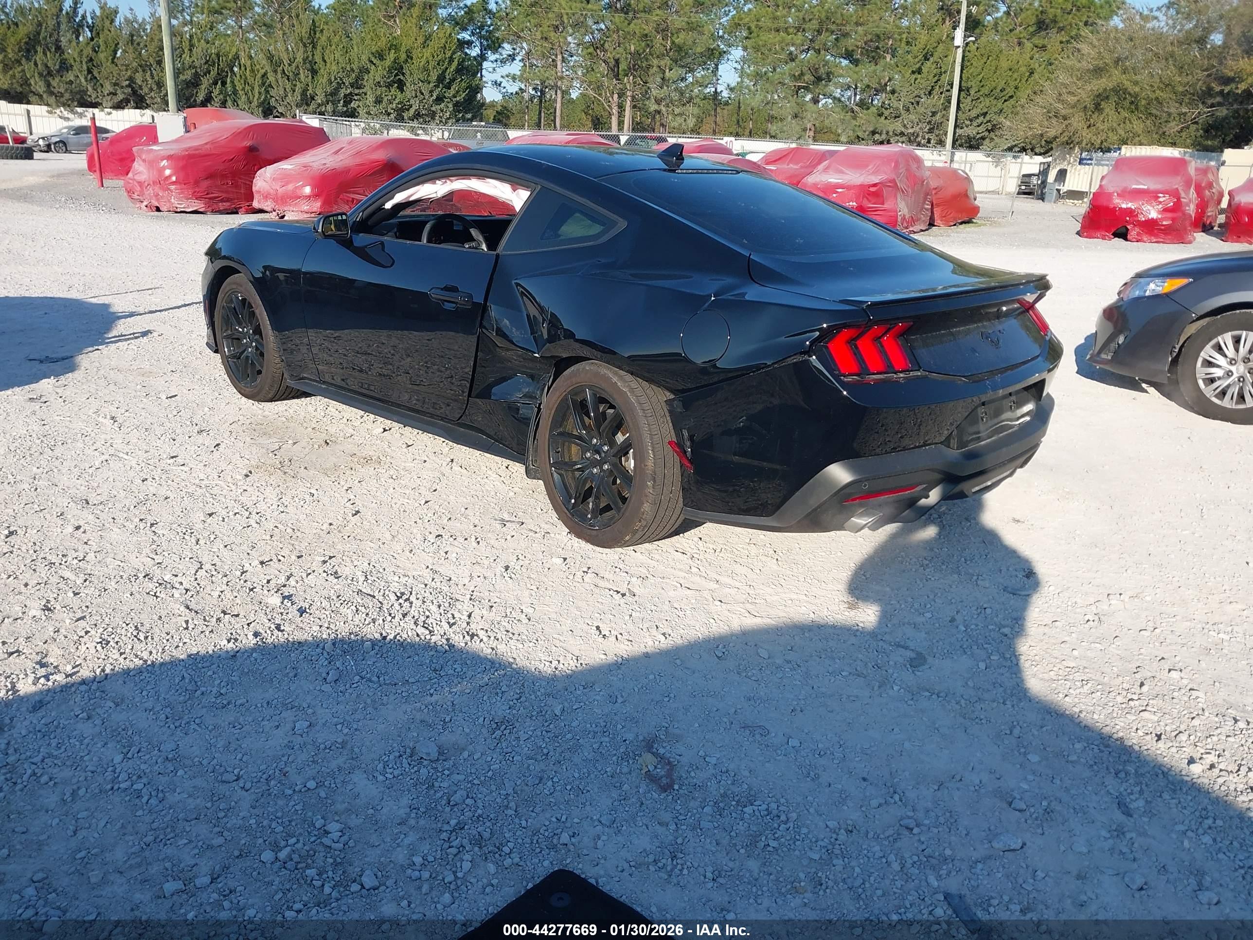 FORD MUSTANG image 3