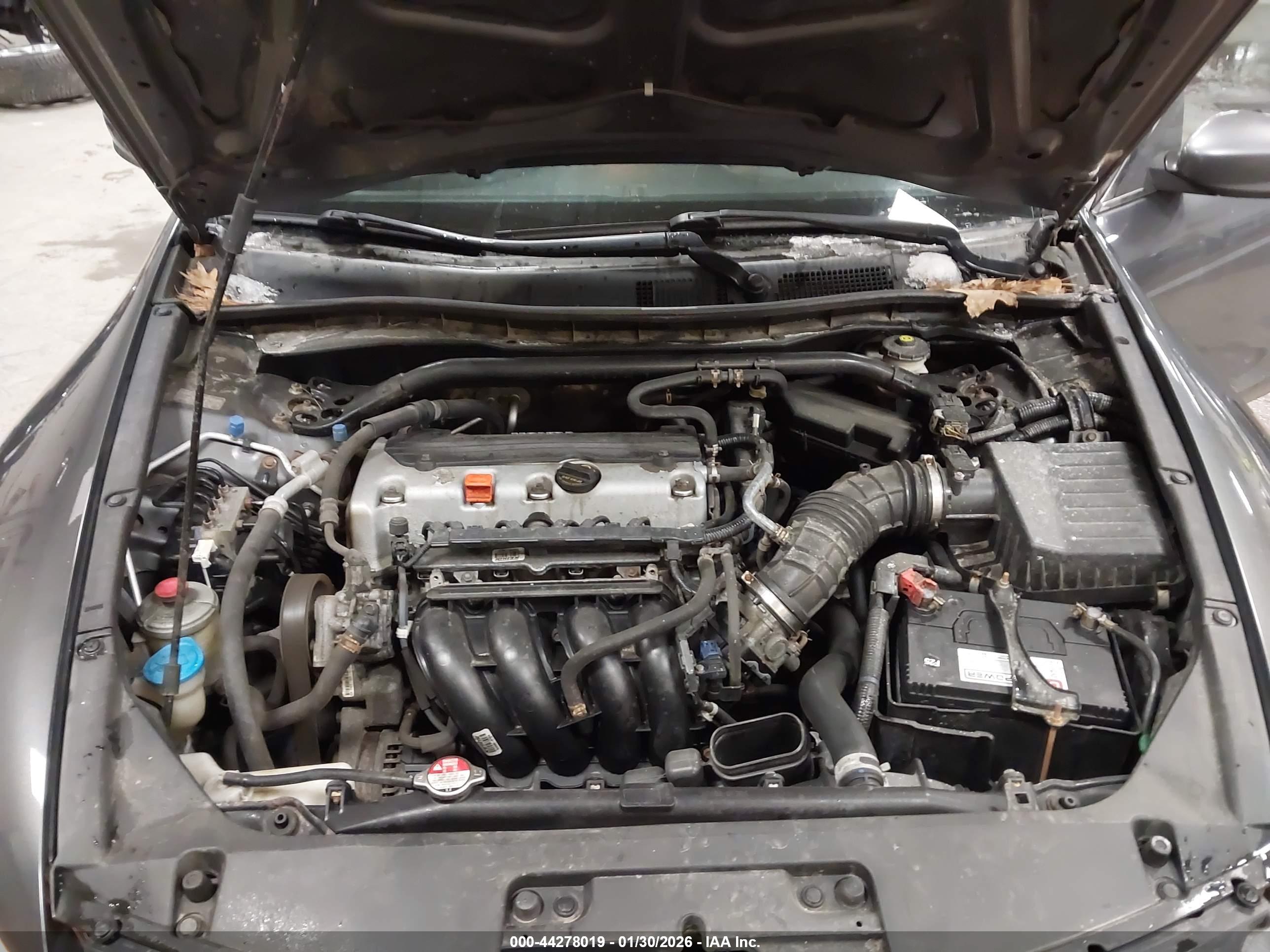 HONDA ACCORD image 10