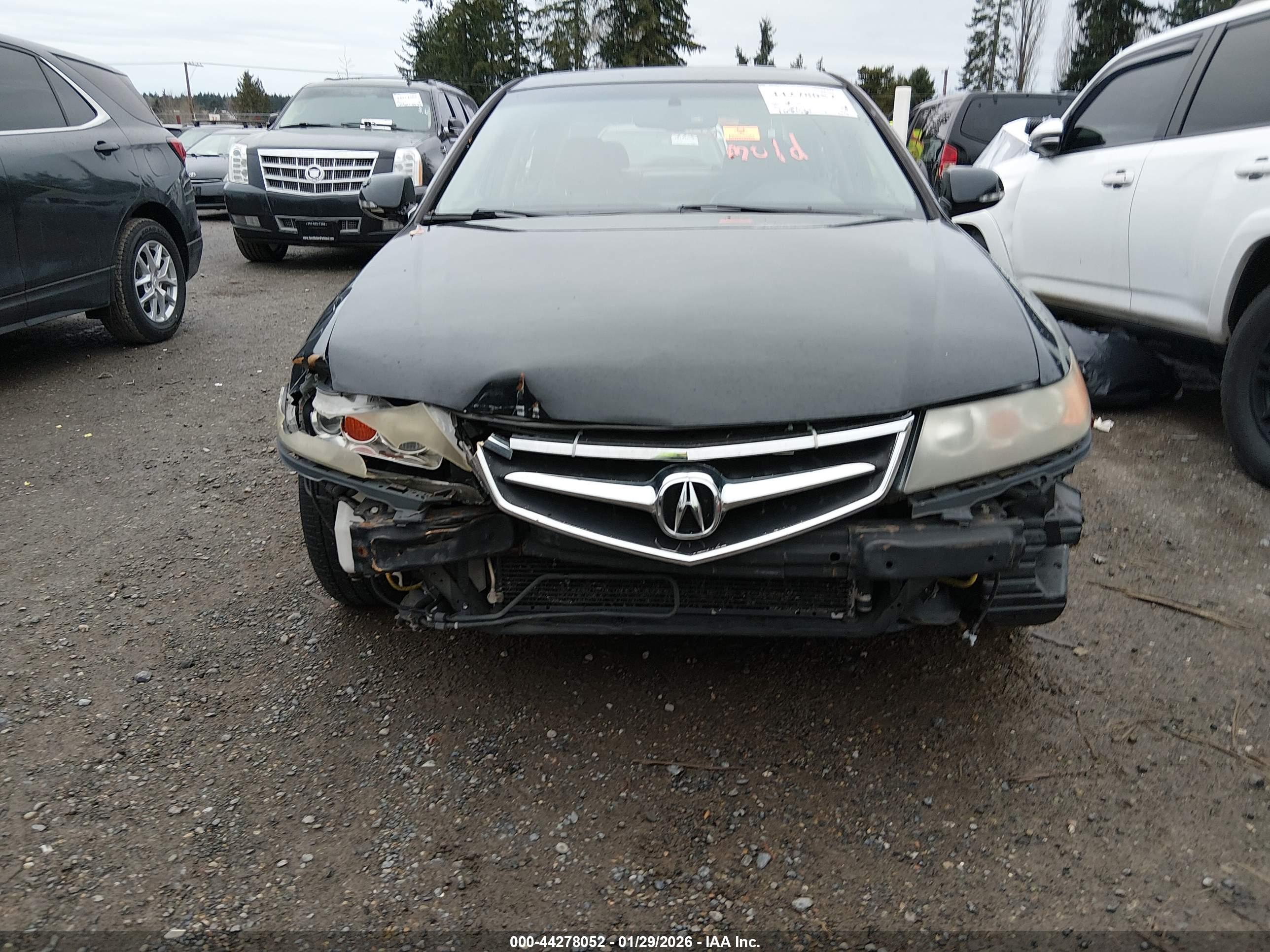 ACURA TSX image 6