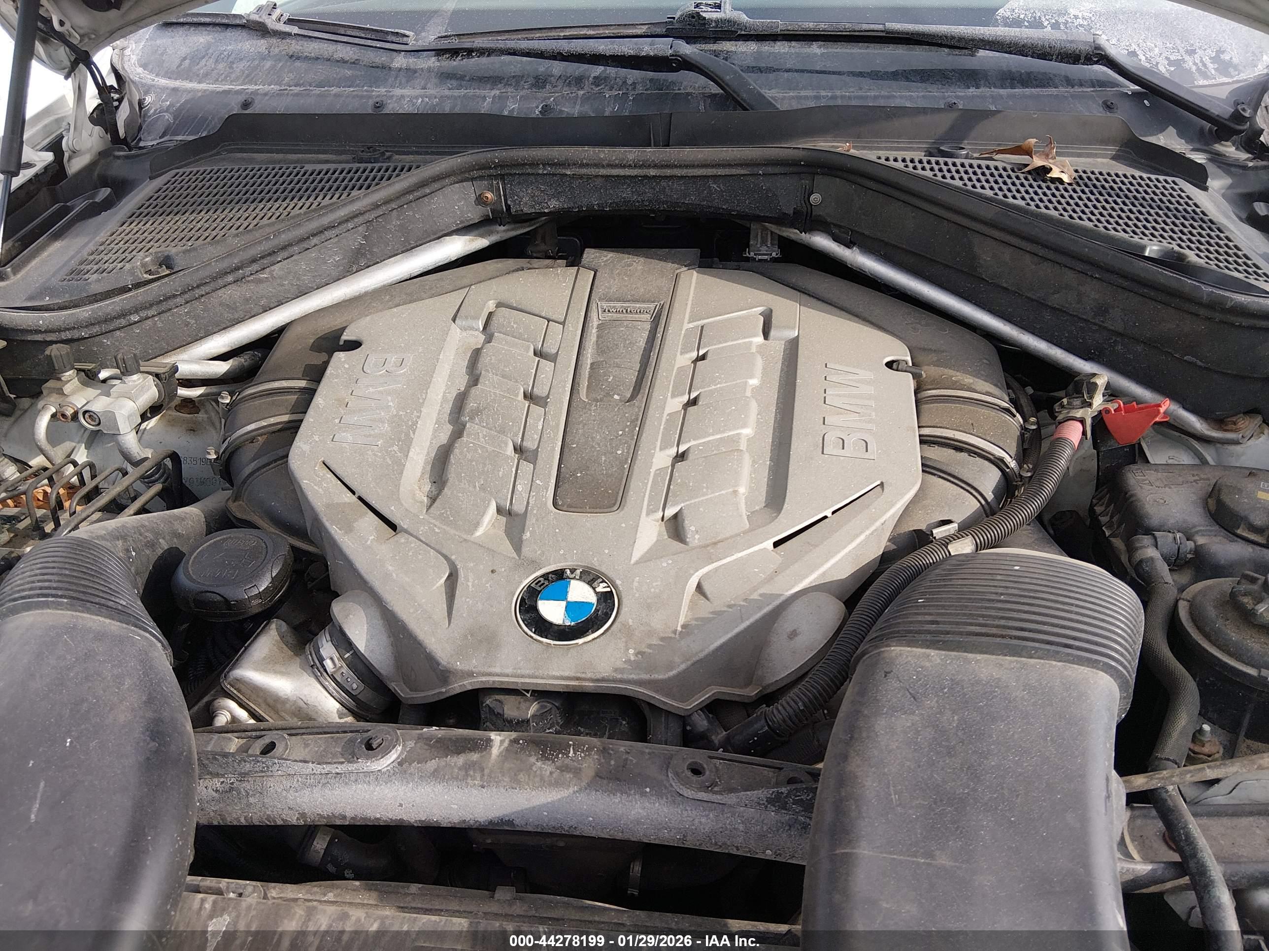 BMW X6 image 10